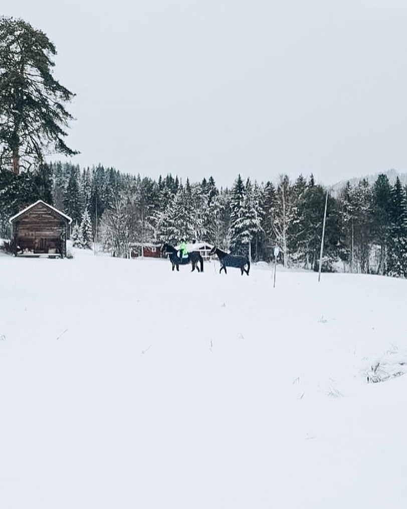 En svensk tjej på landet profile