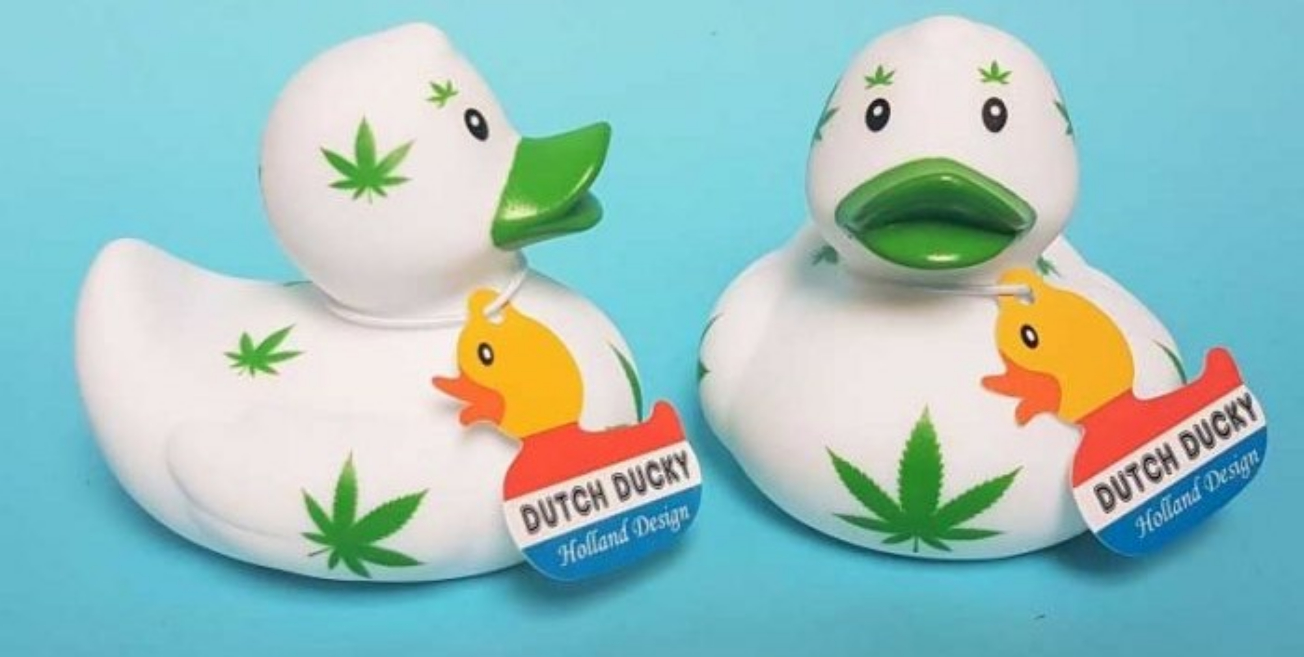 duckys42069cover