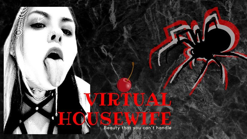 Virtual Housewife thumbnail