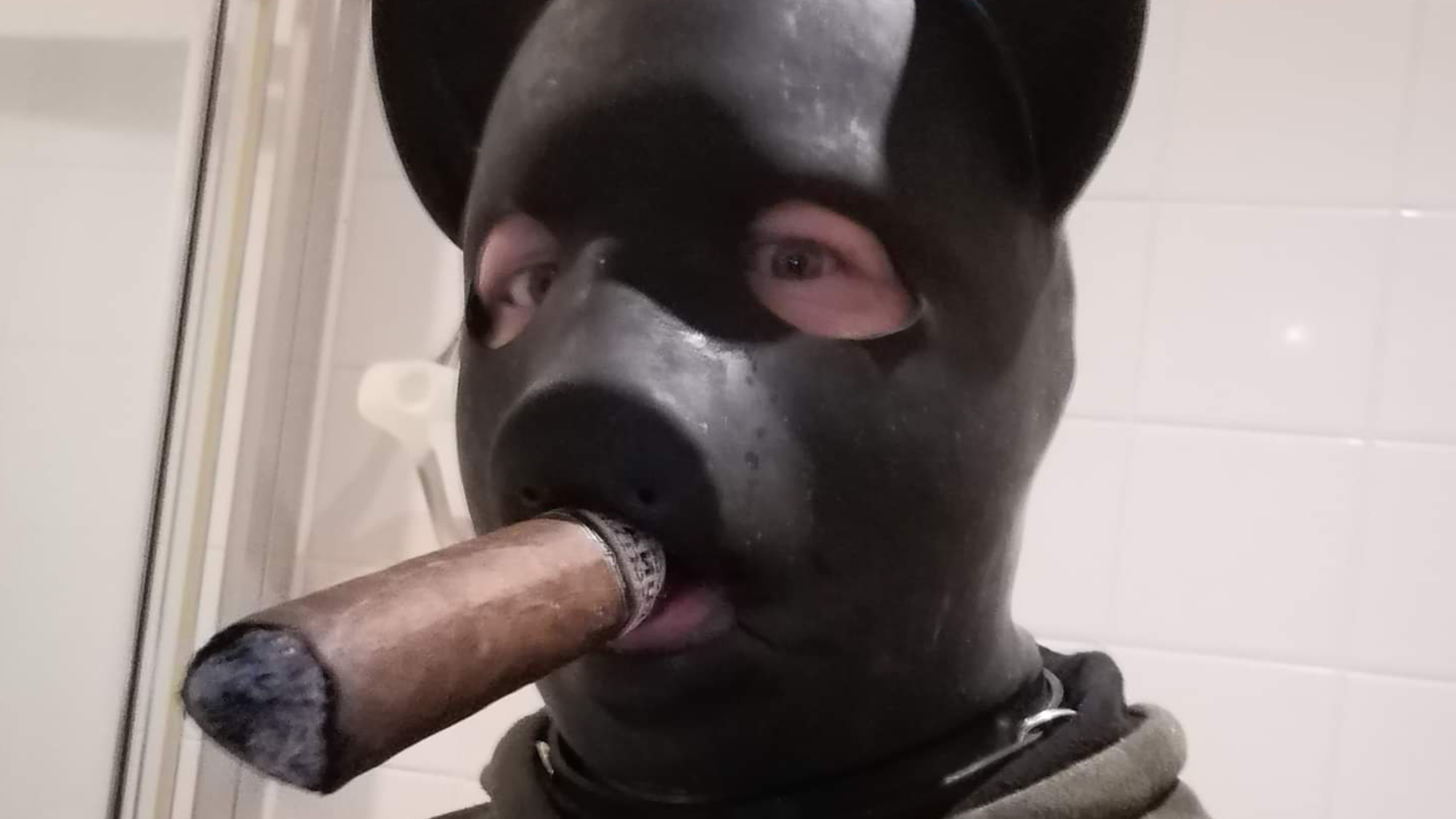 rubbercigarpig thumbnail