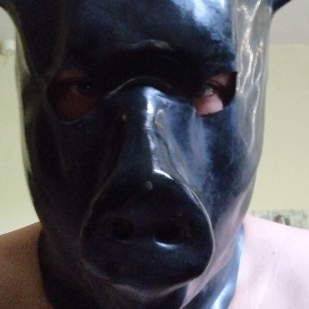 kinkymutt247 profile