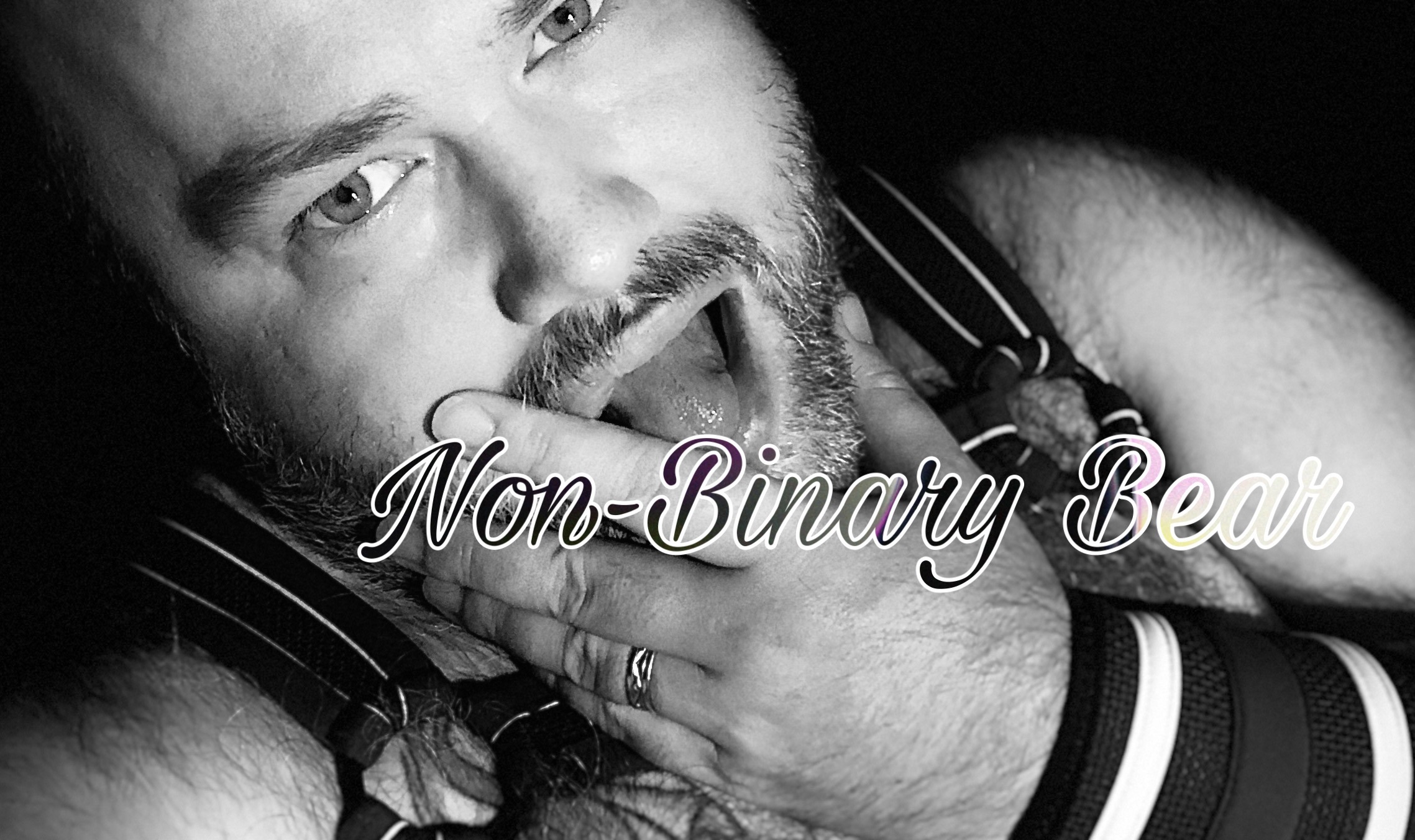 nonbinarybear thumbnail