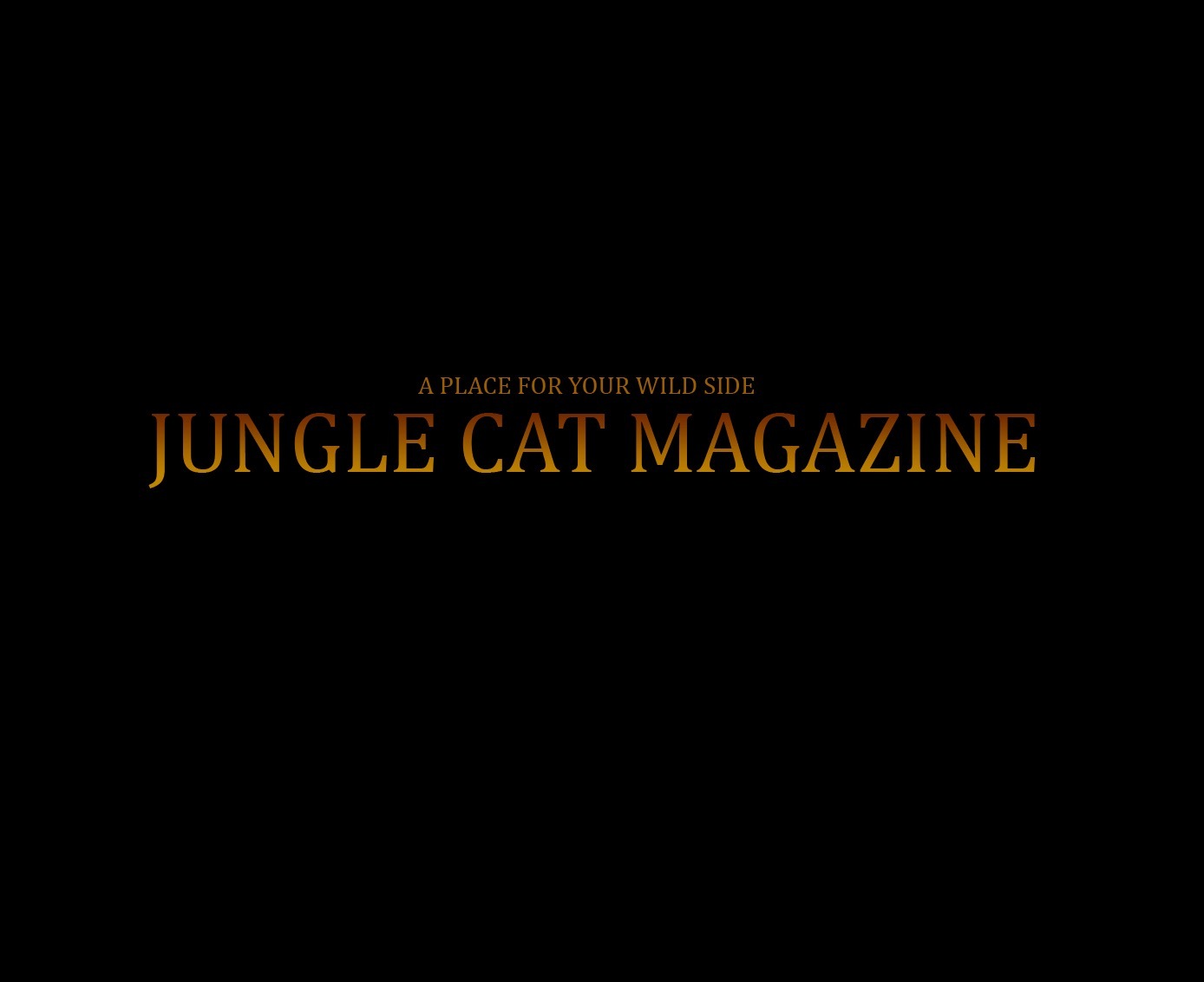 junglecatmagazine thumbnail