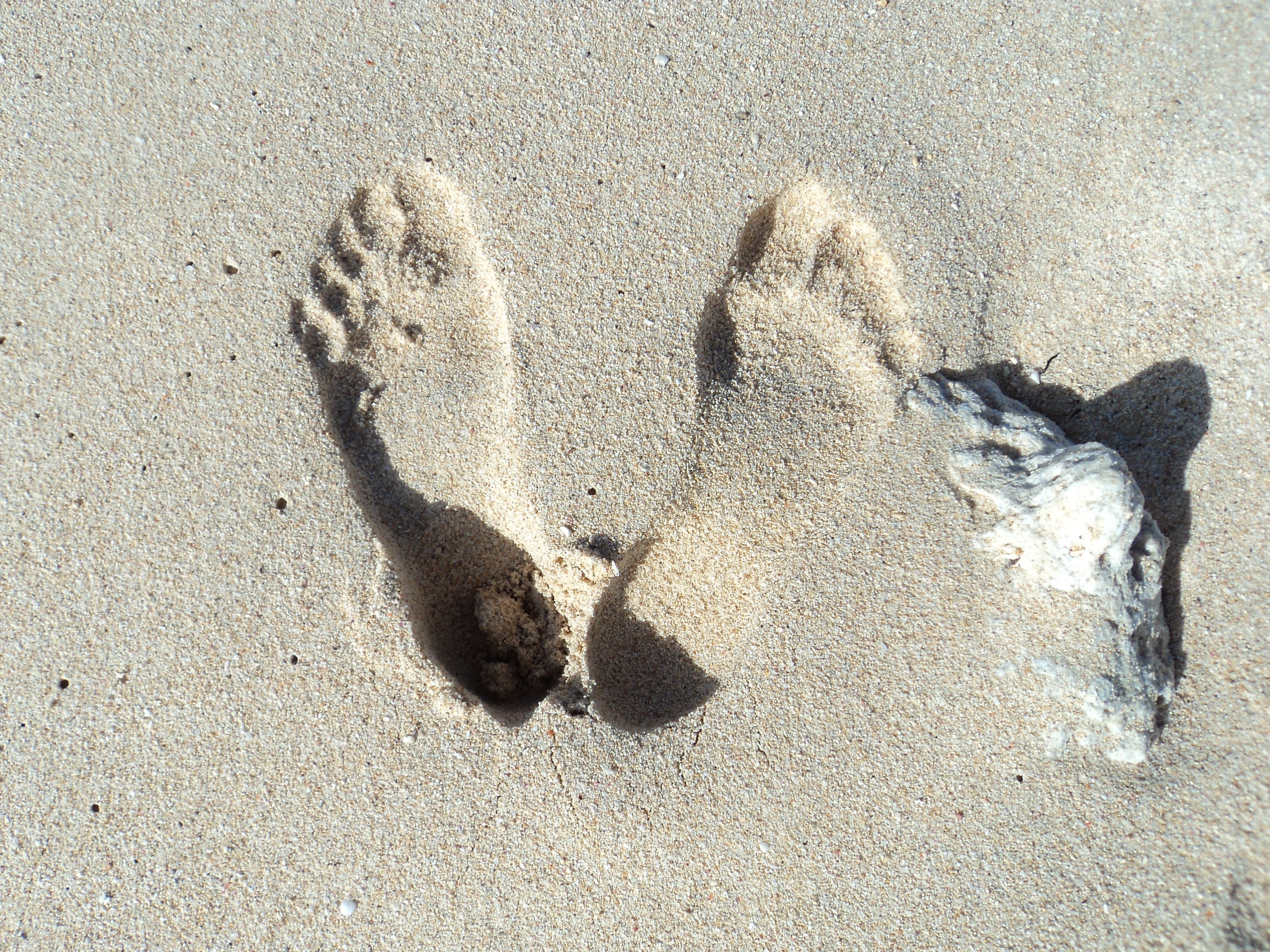 lespiedsduyeti_feet profile