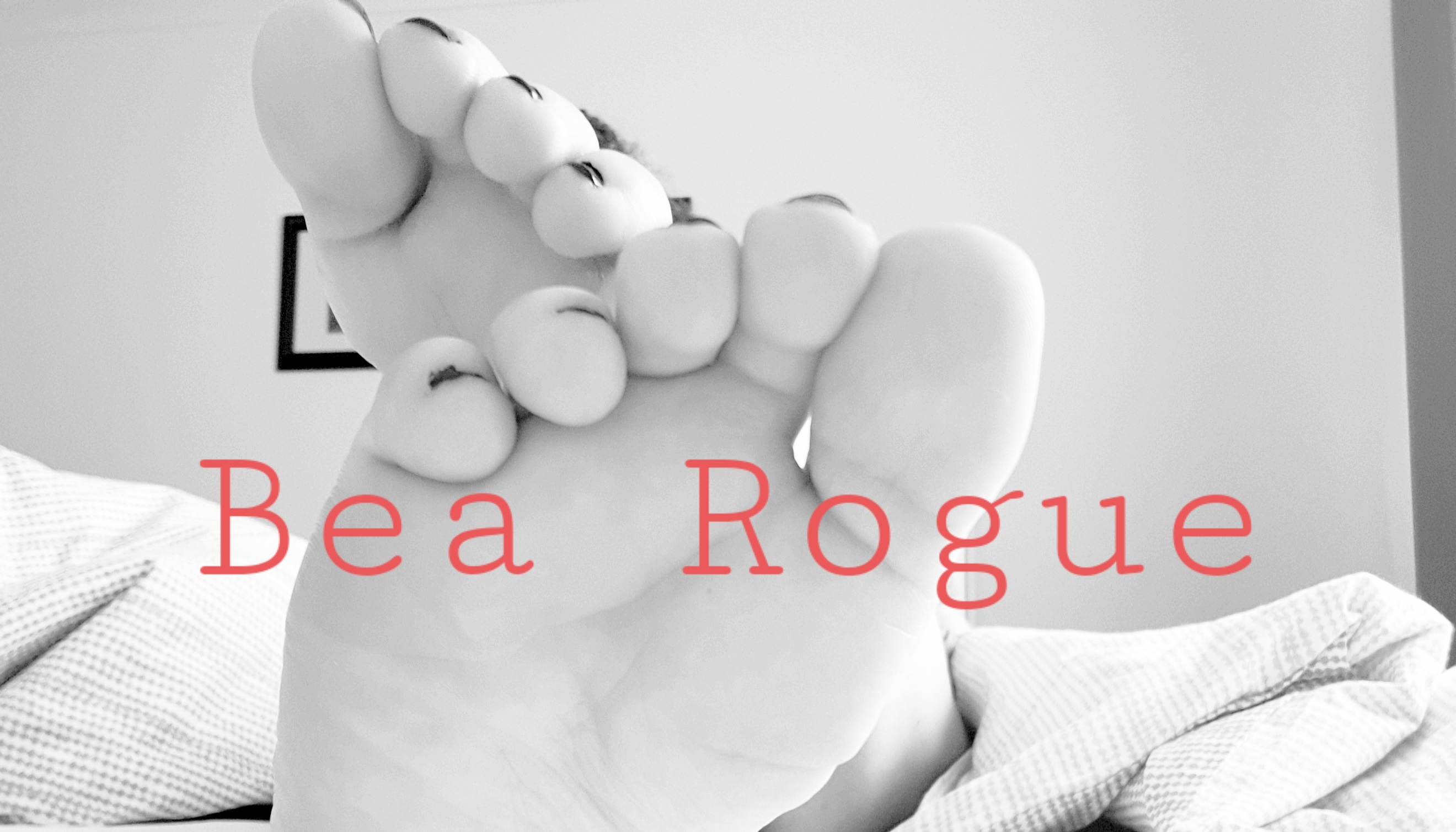 bea-rogue thumbnail