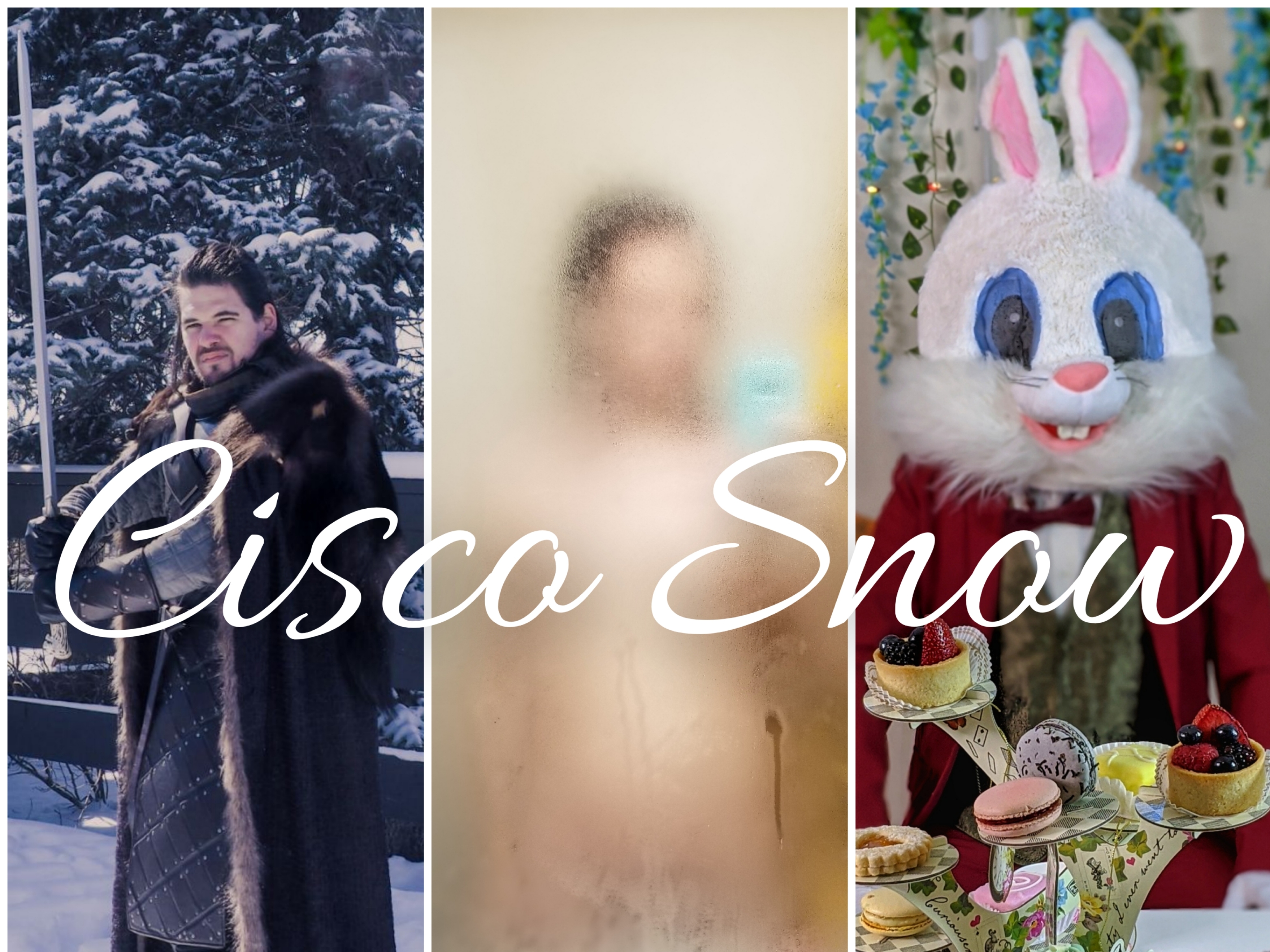 cisco_snow thumbnail