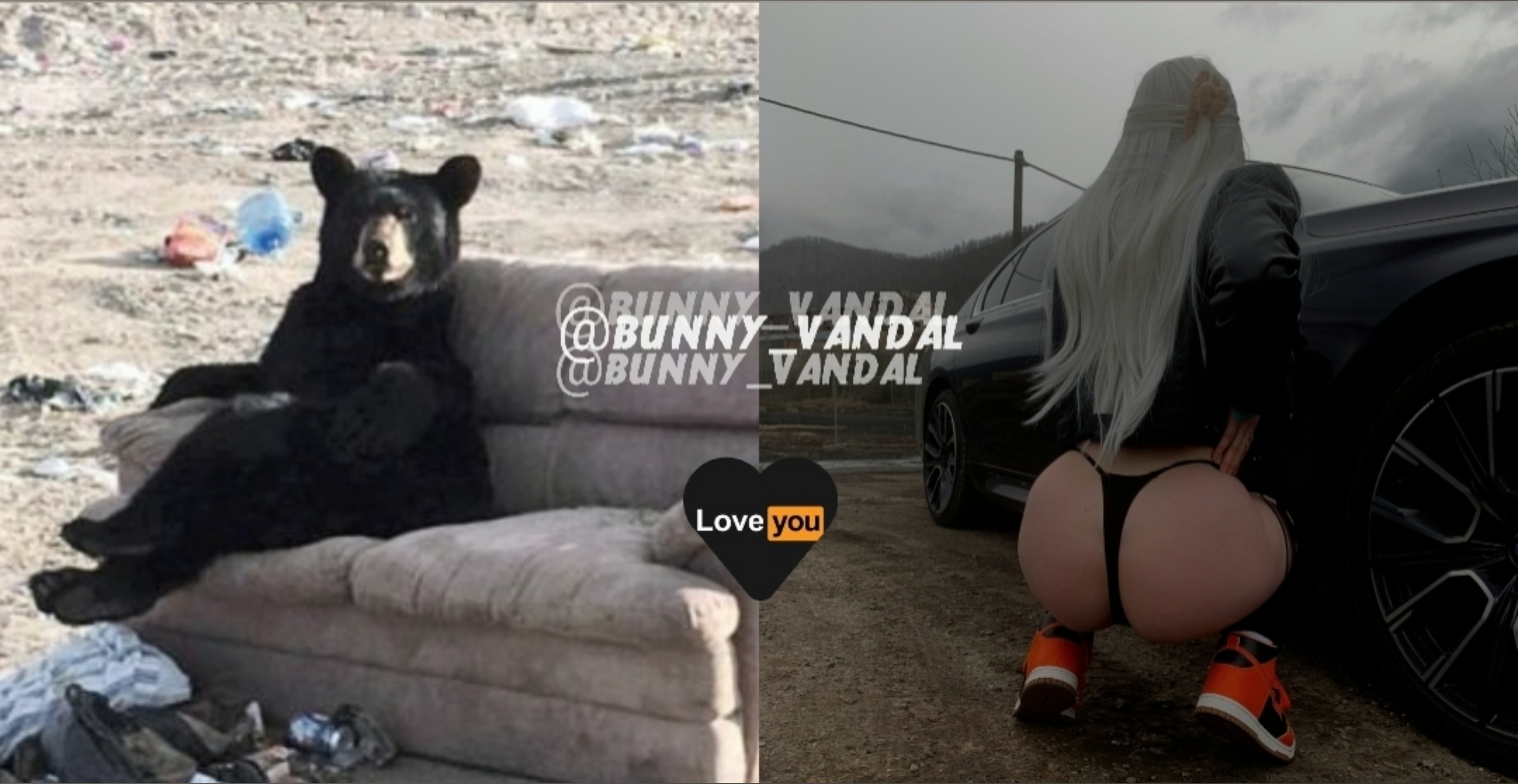 BunnyVandal thumbnail