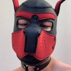 pupkev_vcover