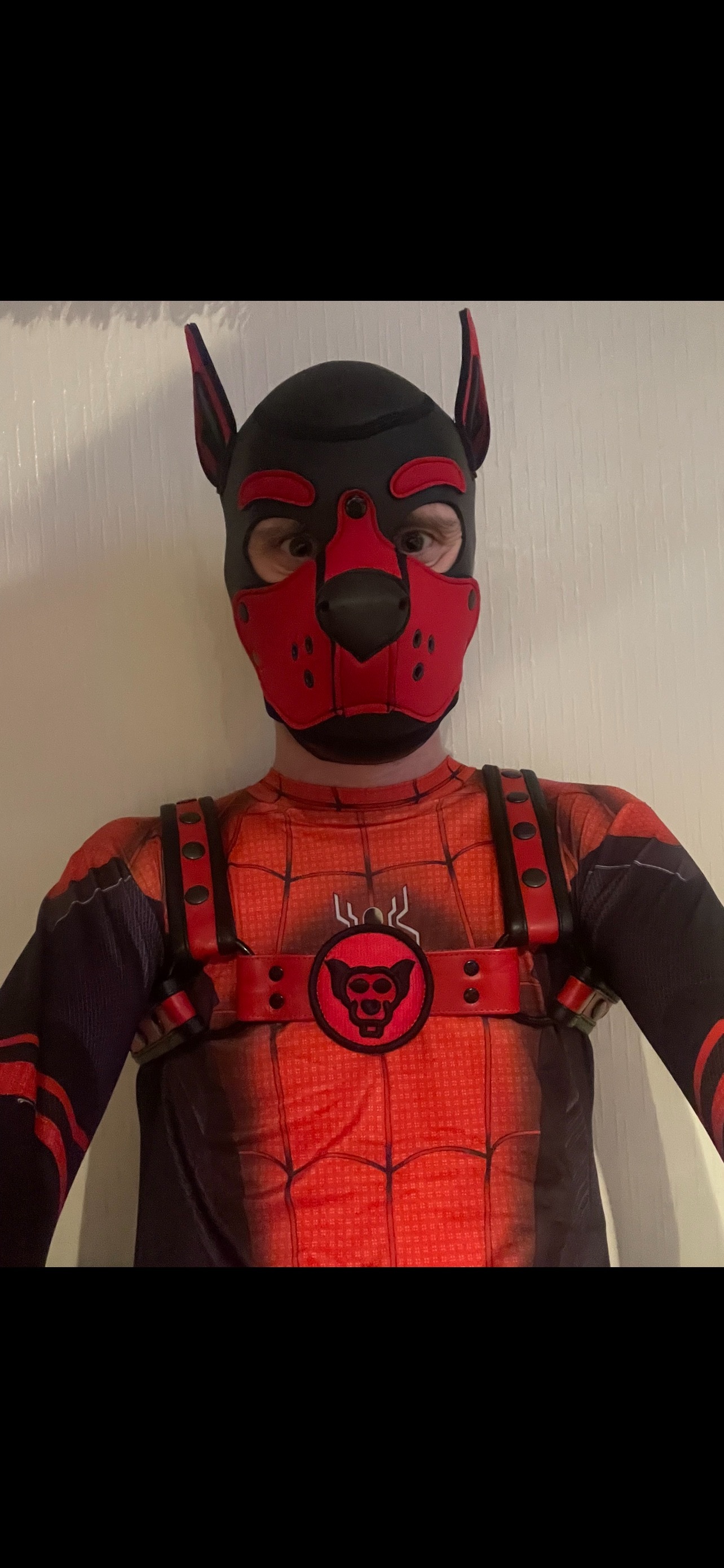 spidey-pup profile