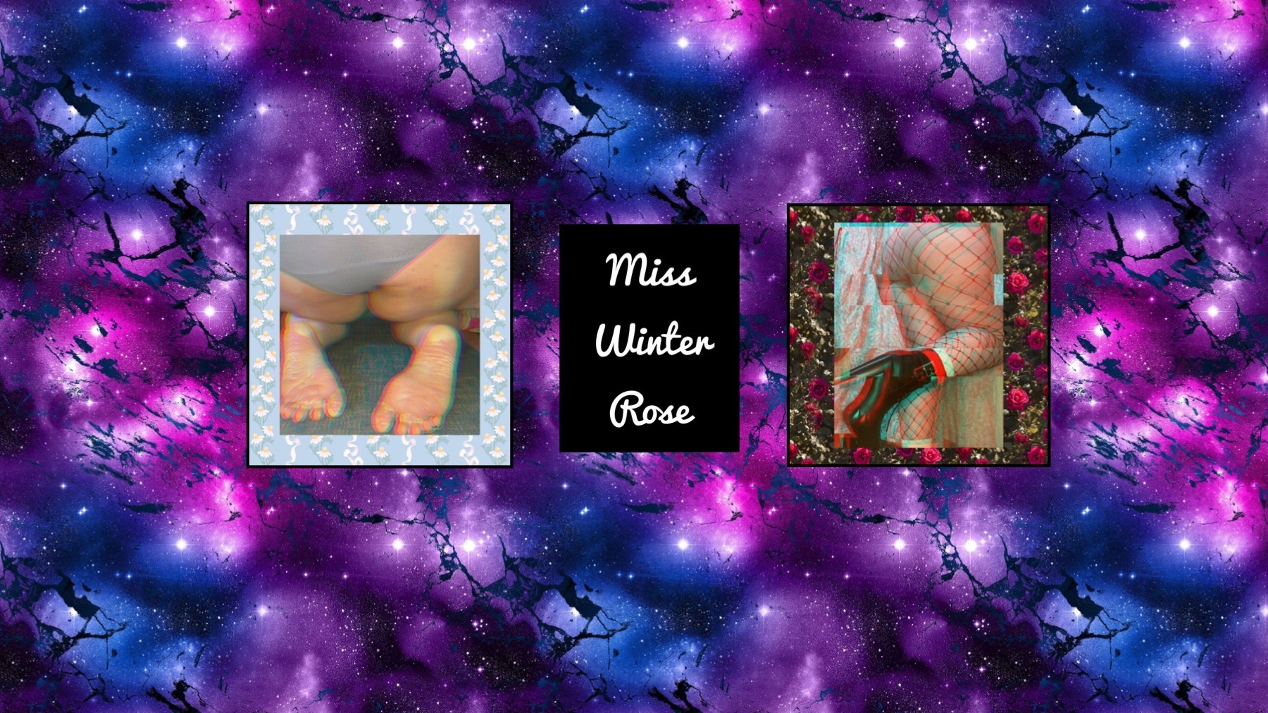 winterrose049 thumbnail