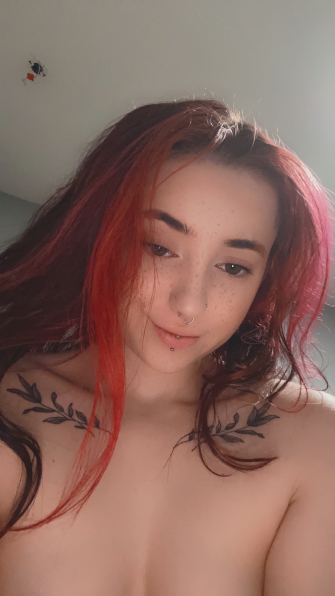 chloe_pcover