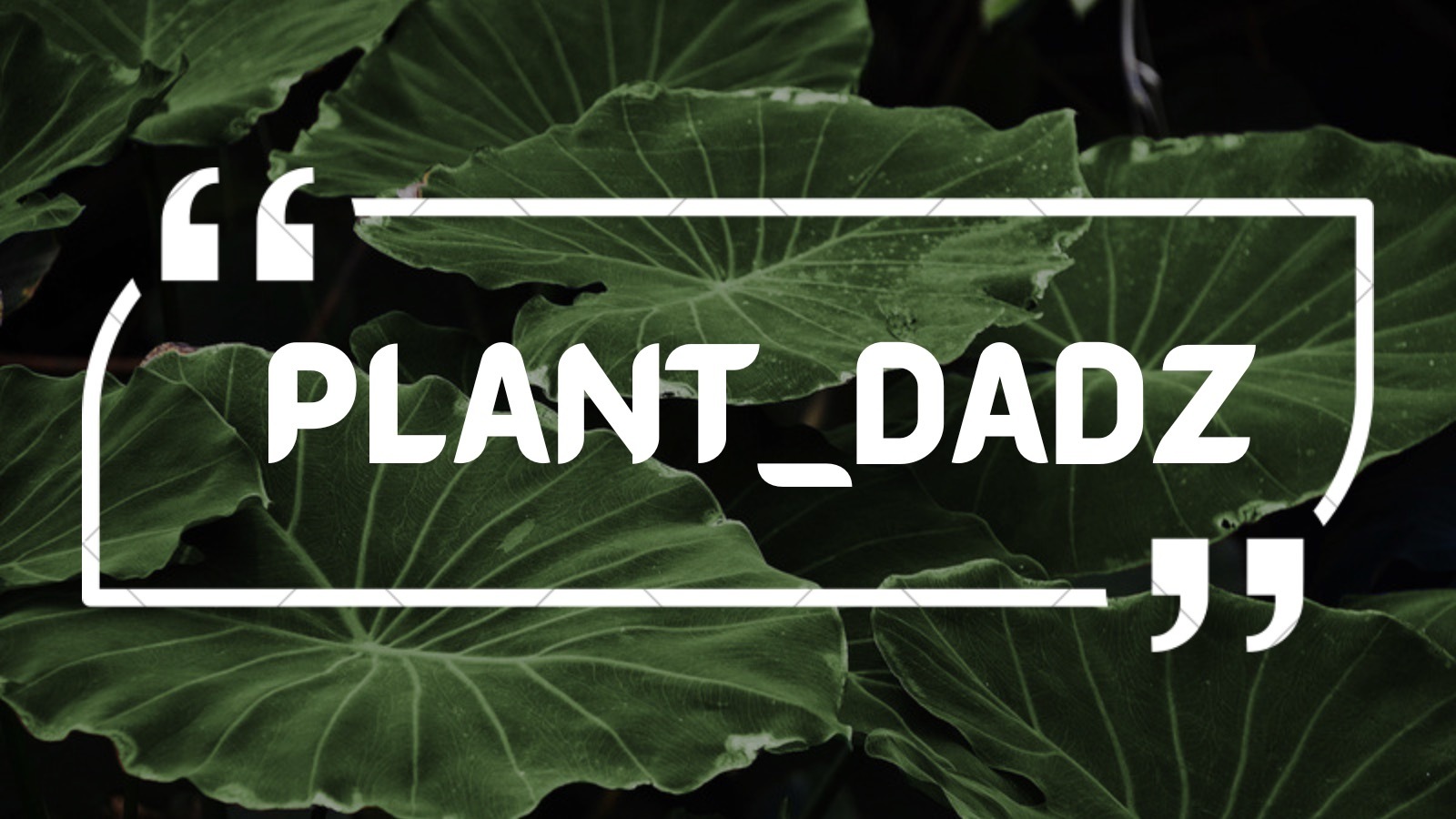 plant_dadz thumbnail