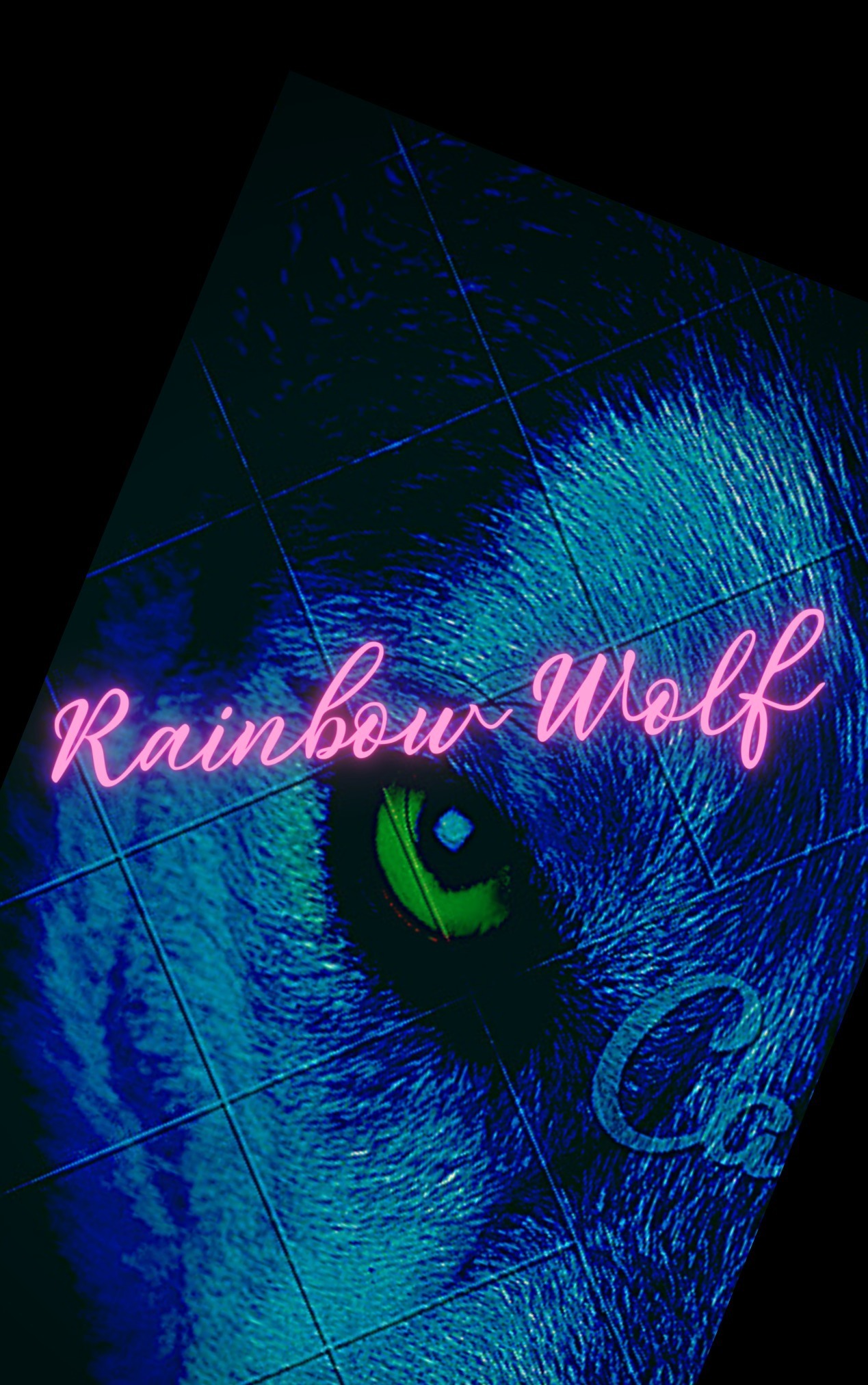 🌈Rainbow Wolf🐺 thumbnail