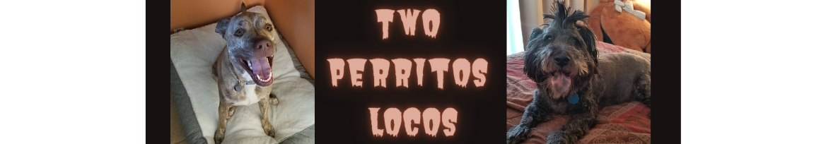 TwoPerritosLocos thumbnail