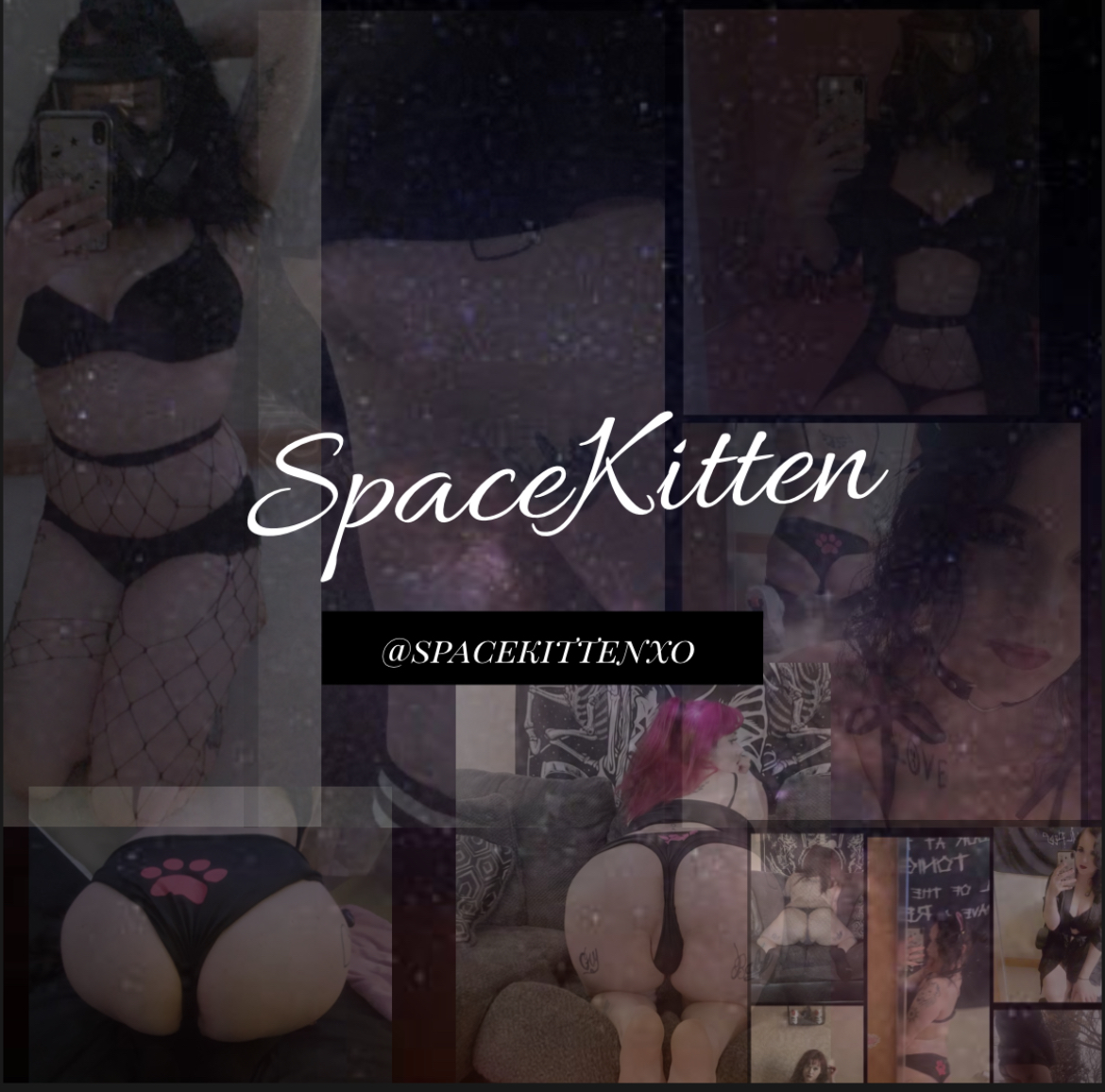 🛸Space kitten🛸 VIP✨ thumbnail