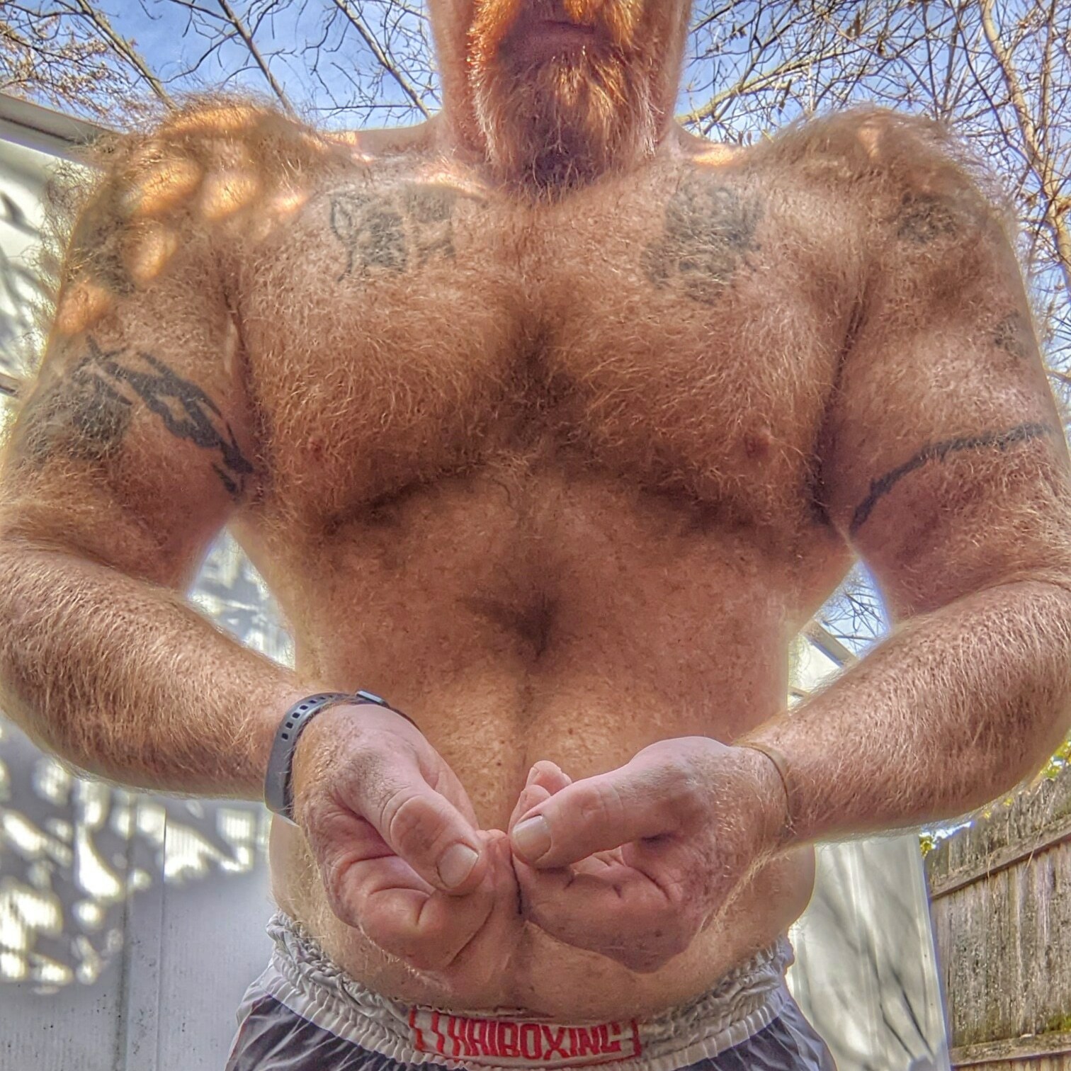 gingerwarrior1 profile