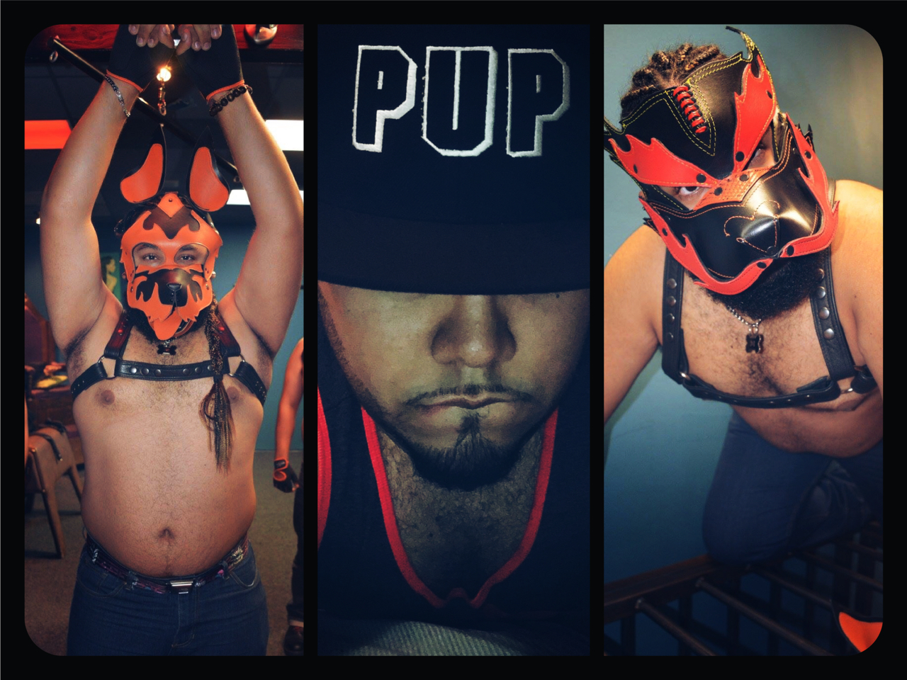 pup_panda thumbnail