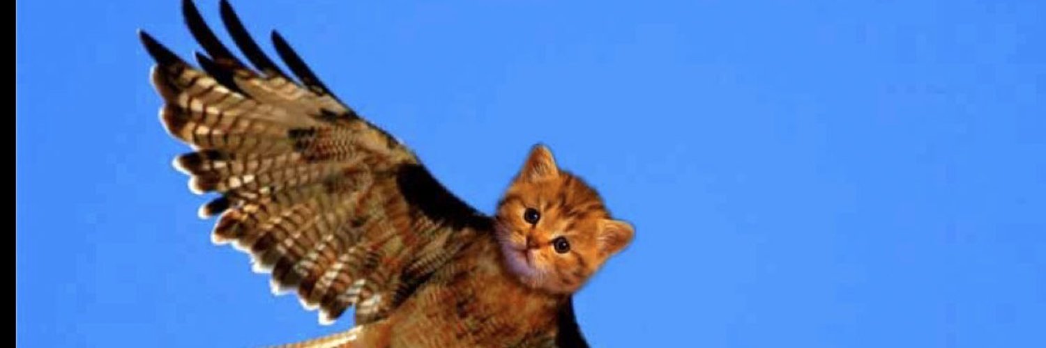 kittyhawkbb thumbnail