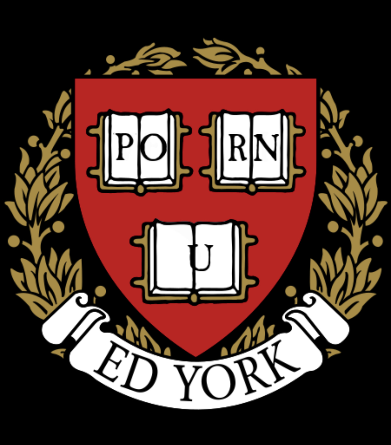 edyork profile