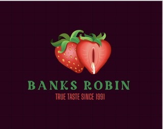 banksrobincover