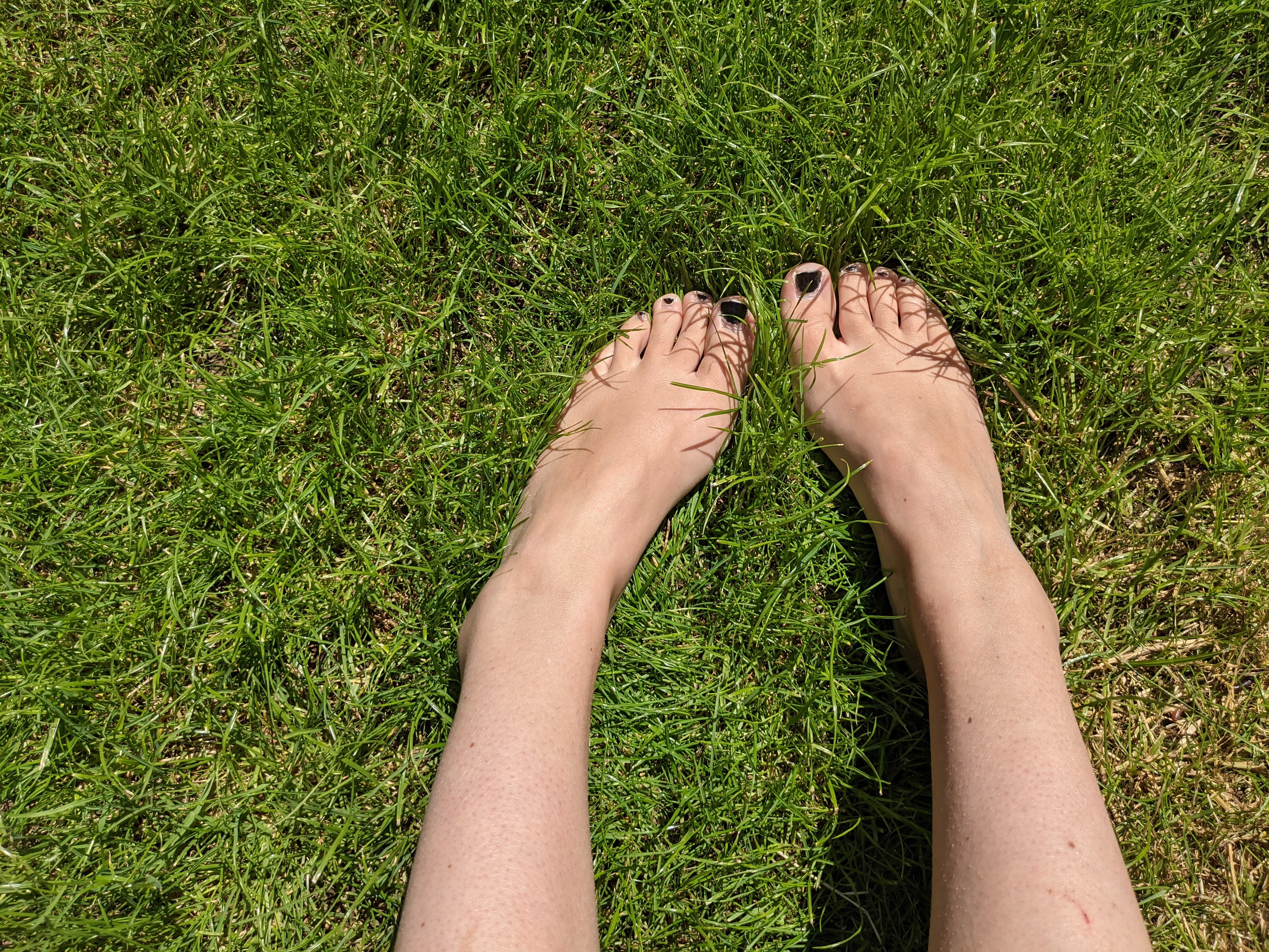 Barefoot Bunny profile