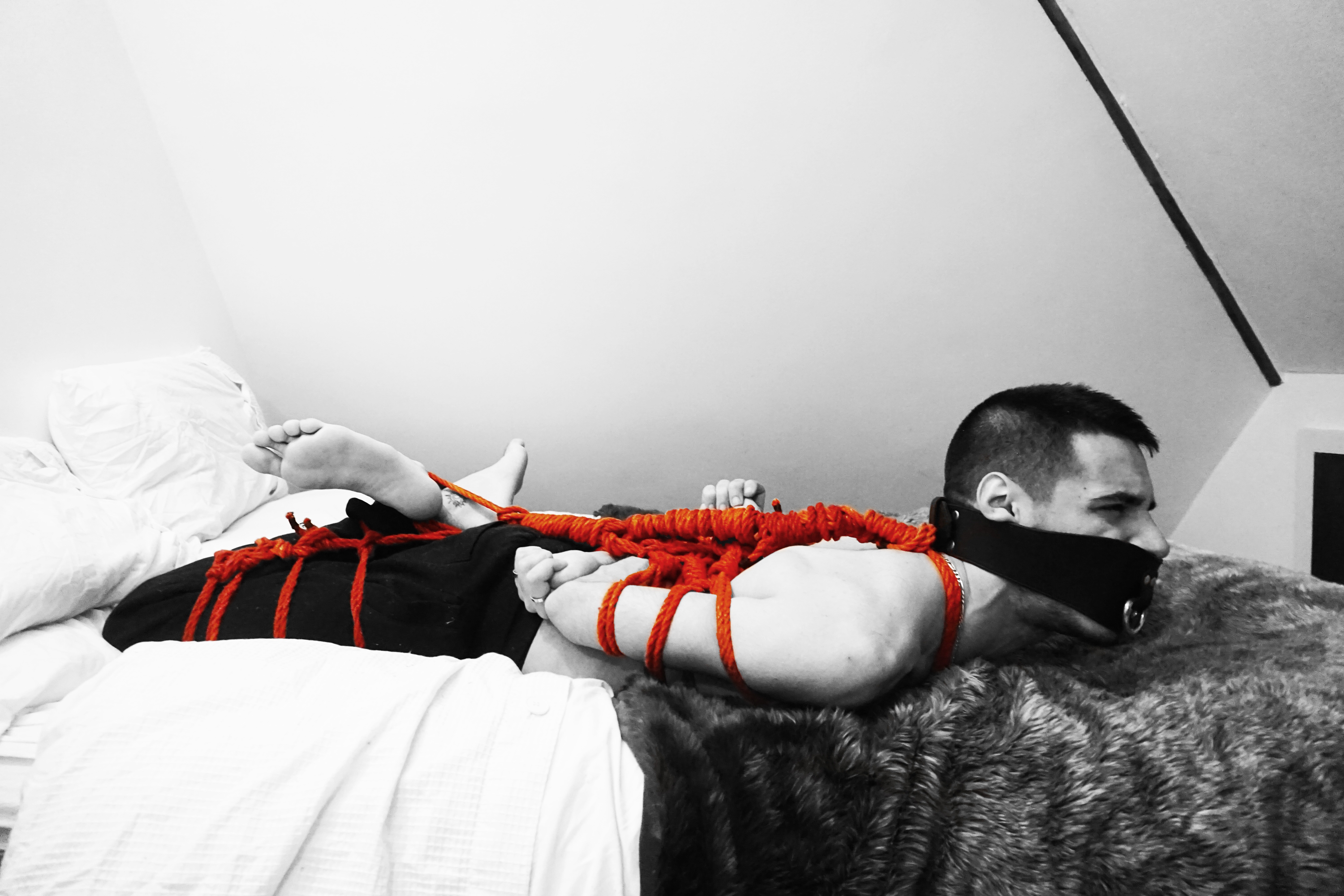 Safe and Bound thumbnail