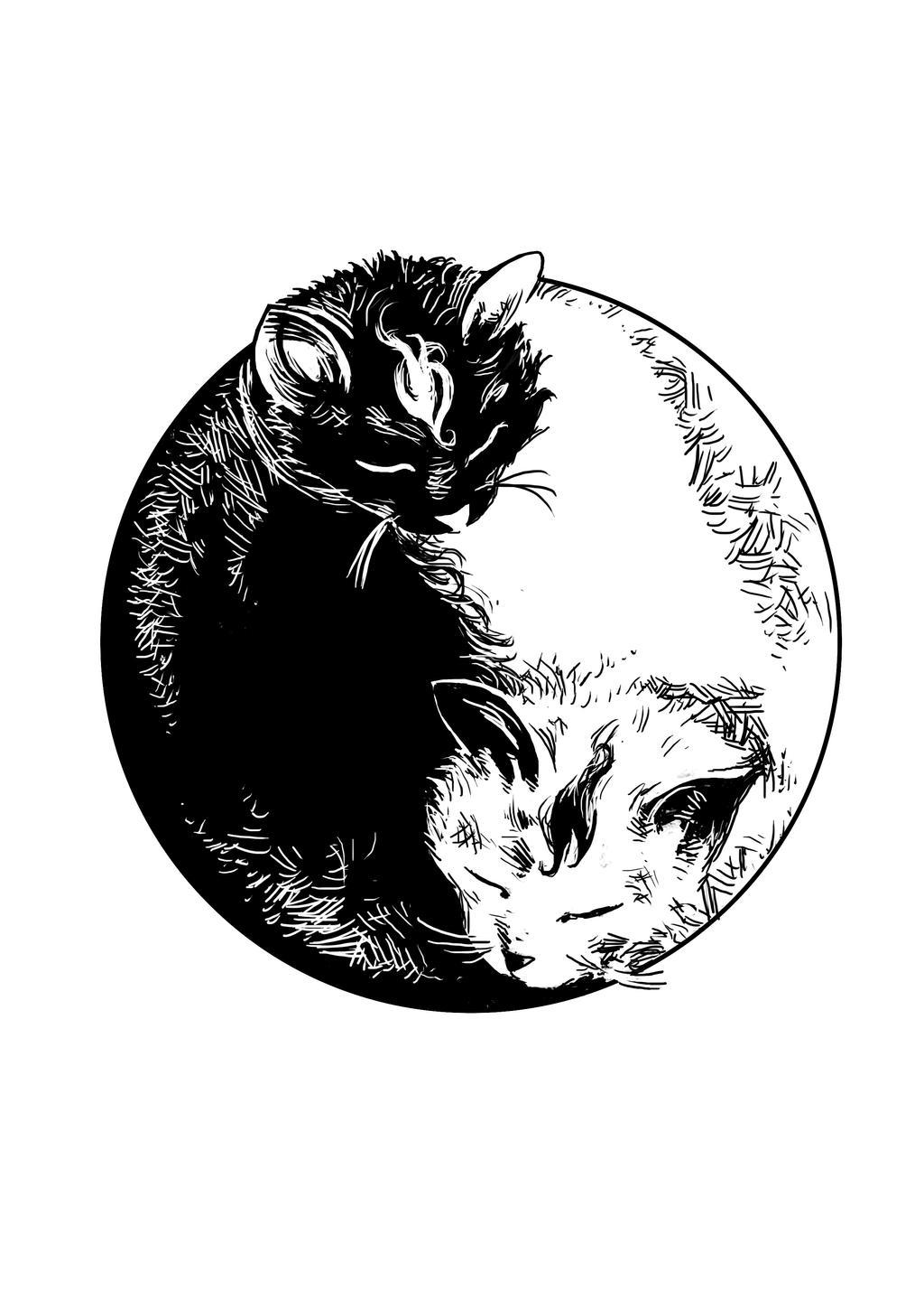 Ying &amp; Yang profile