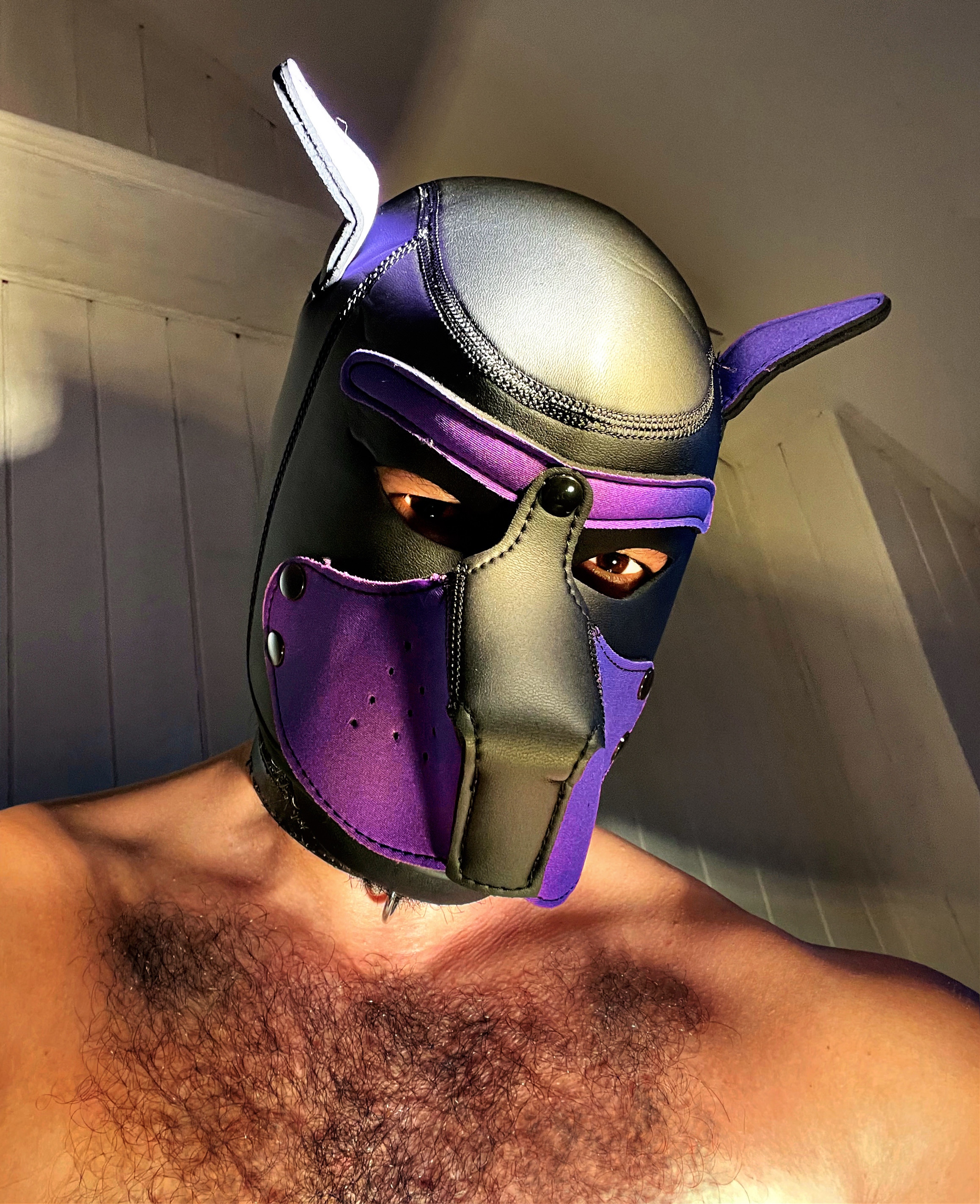 hotpurplepuppy profile