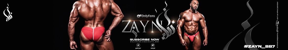 zayn_bb7 thumbnail