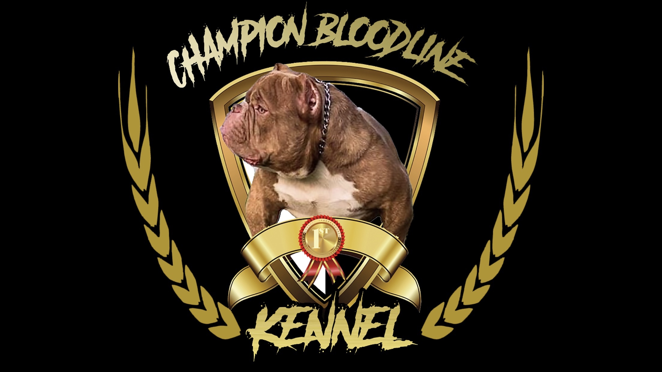 cbkennells profile