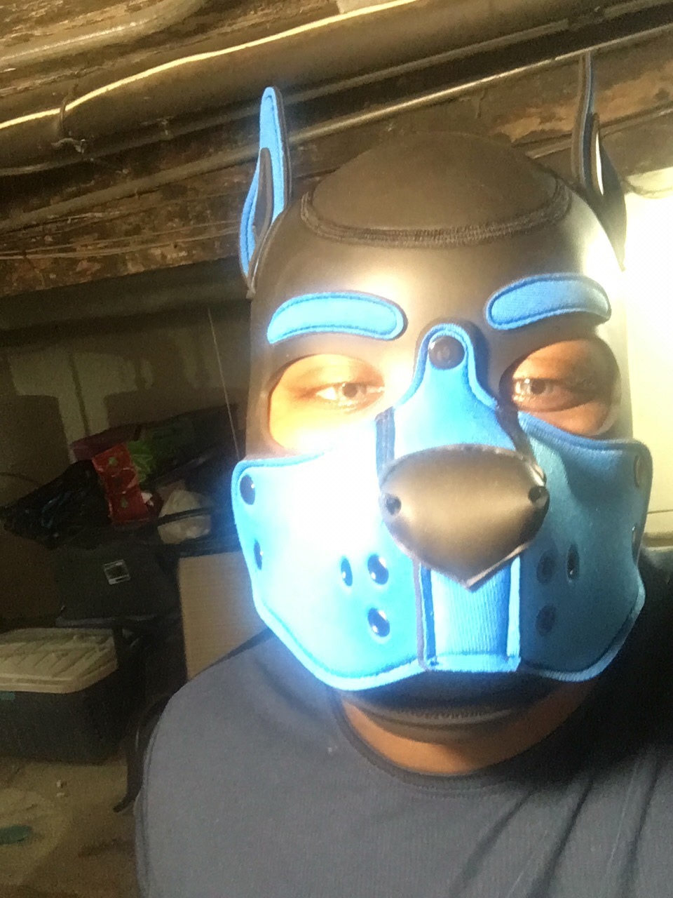 Chuck_DA_PUP thumbnail