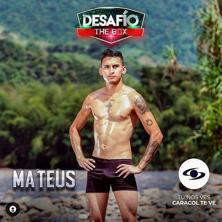 davidmateuscover