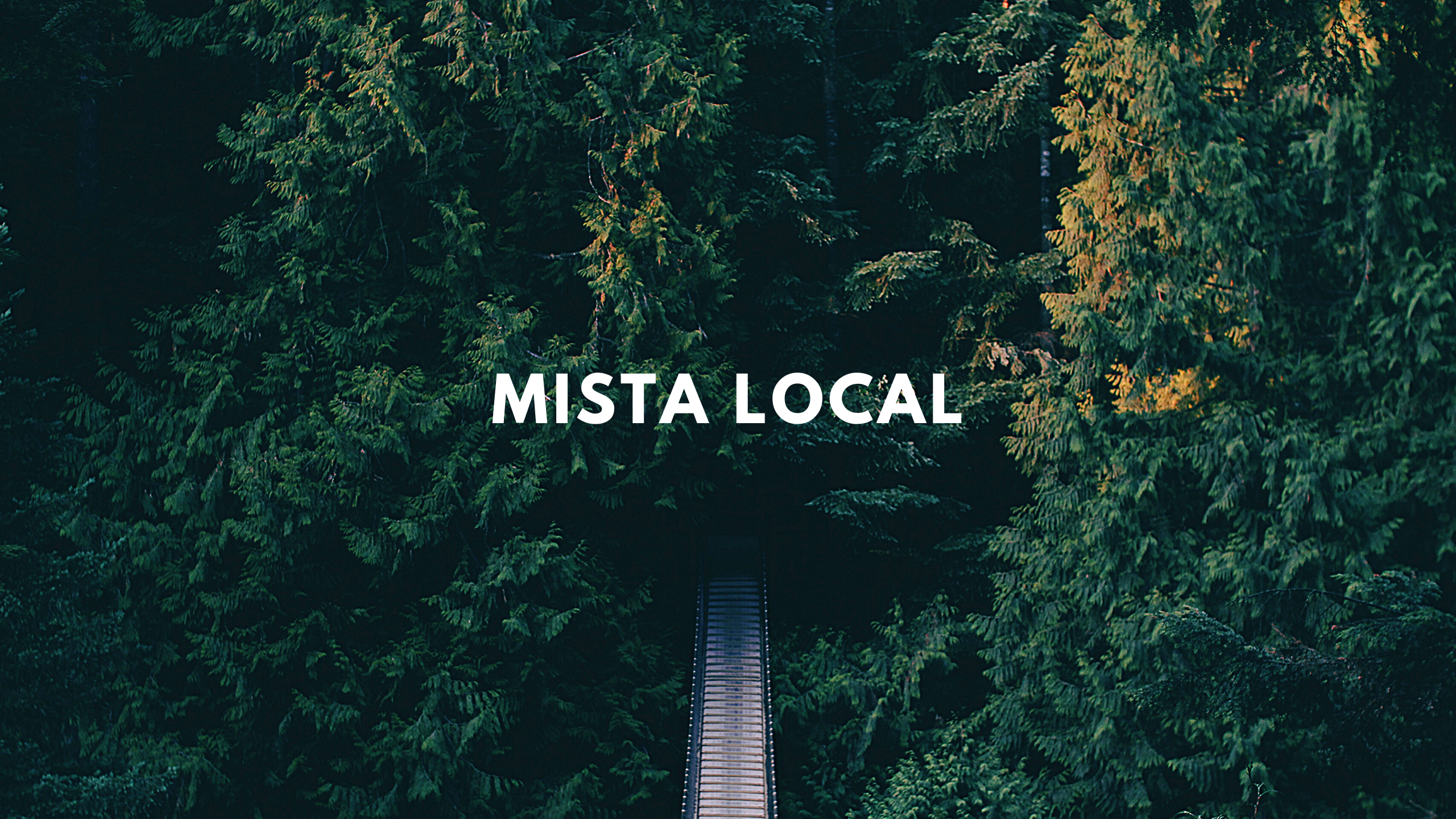 Mista Local profile