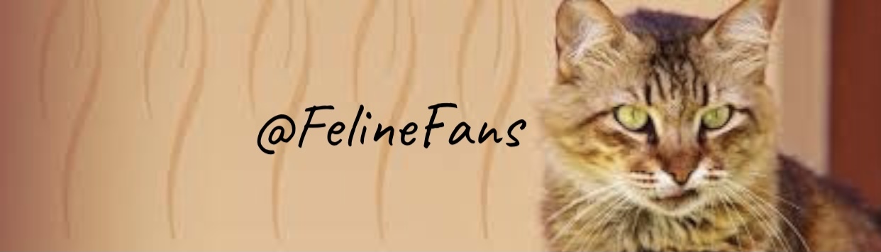 💕🐱 FelineFans 🐱💕 thumbnail