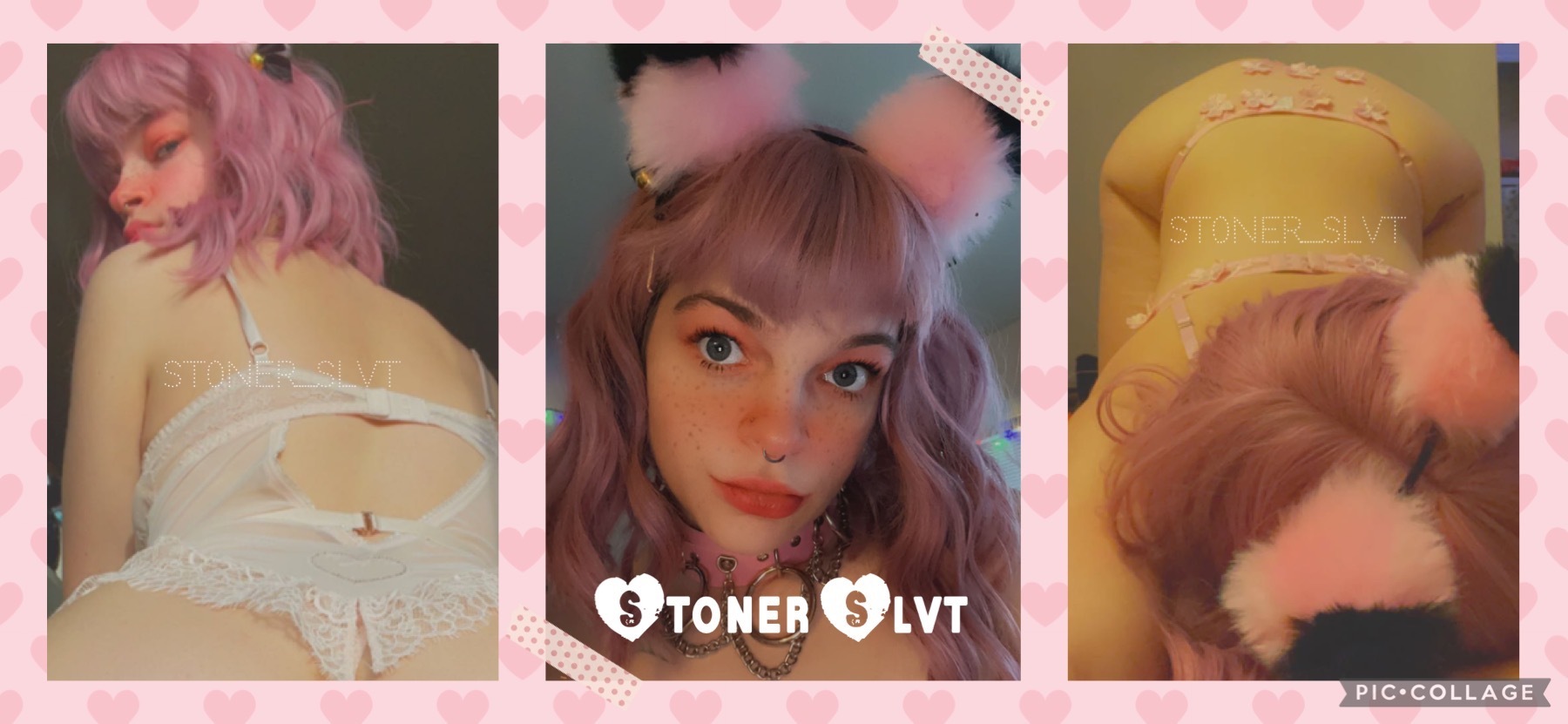 🌸Dank🌸(On Hiatus) thumbnail