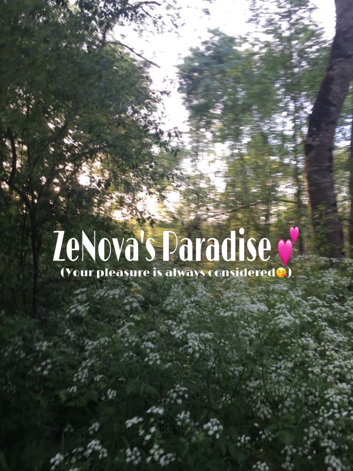 zenova1 thumbnail