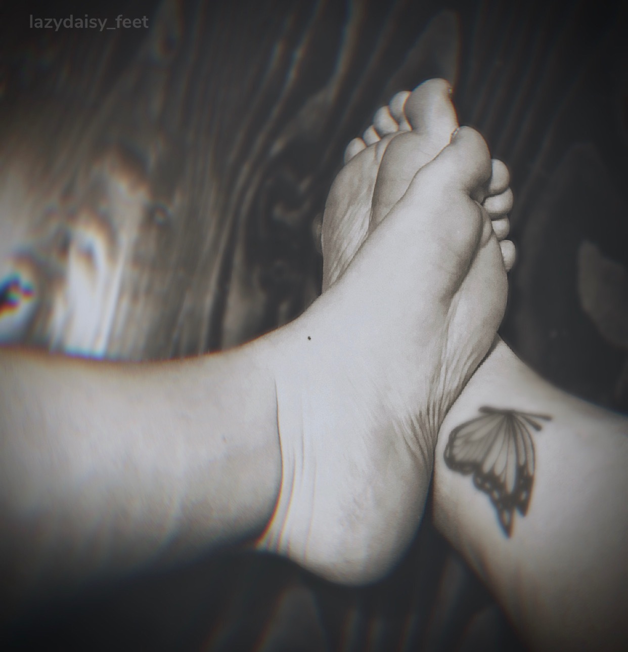 lazydaisy_feet profile