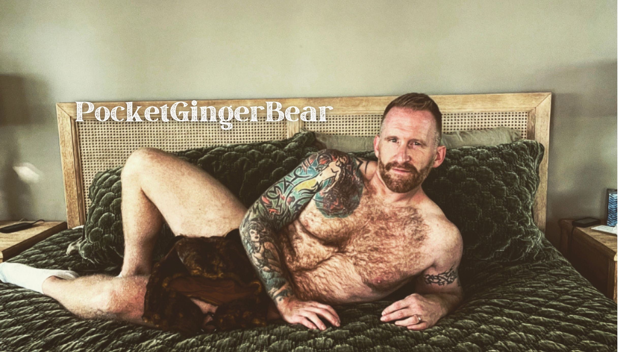 PocketGingerBear thumbnail