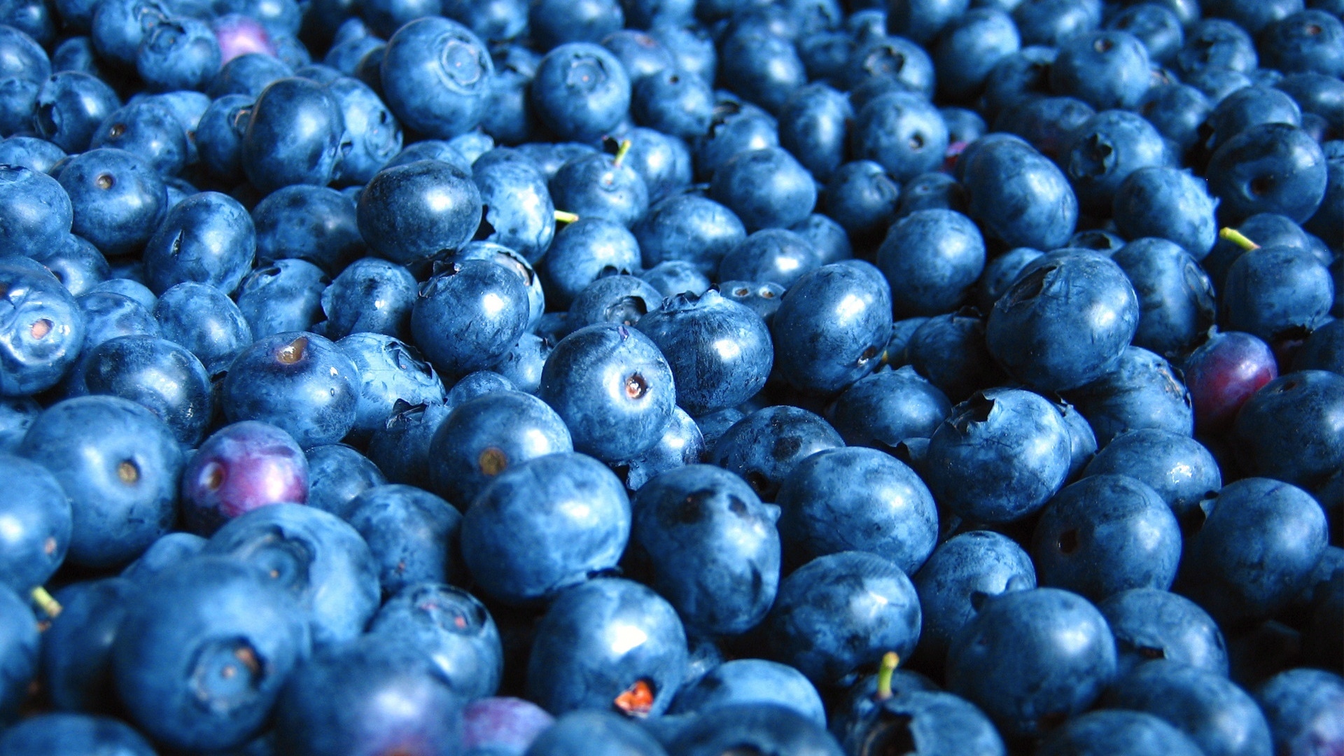 blueberries thumbnail