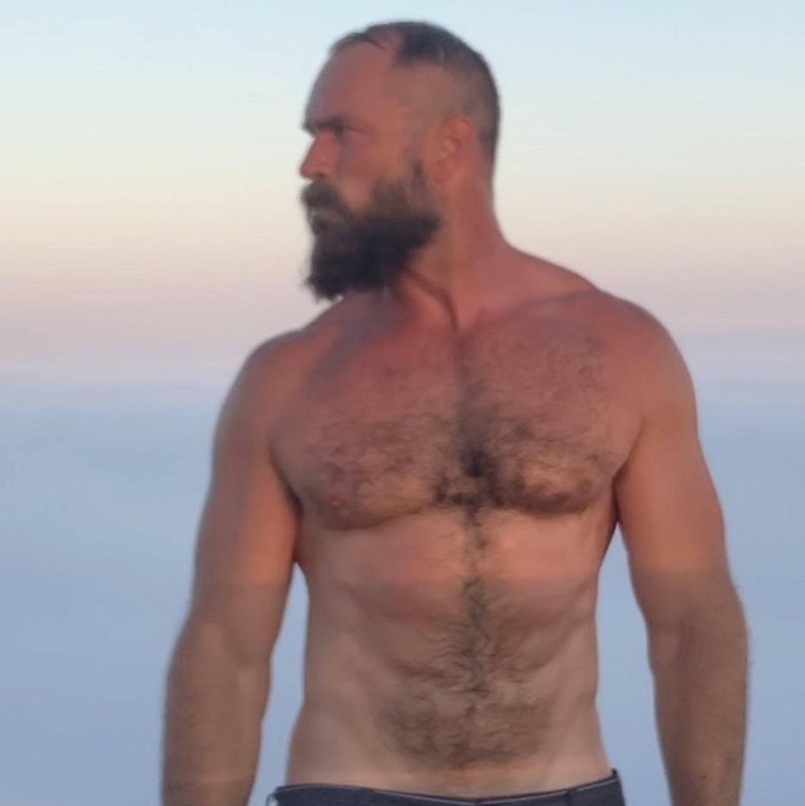 musclbearcover