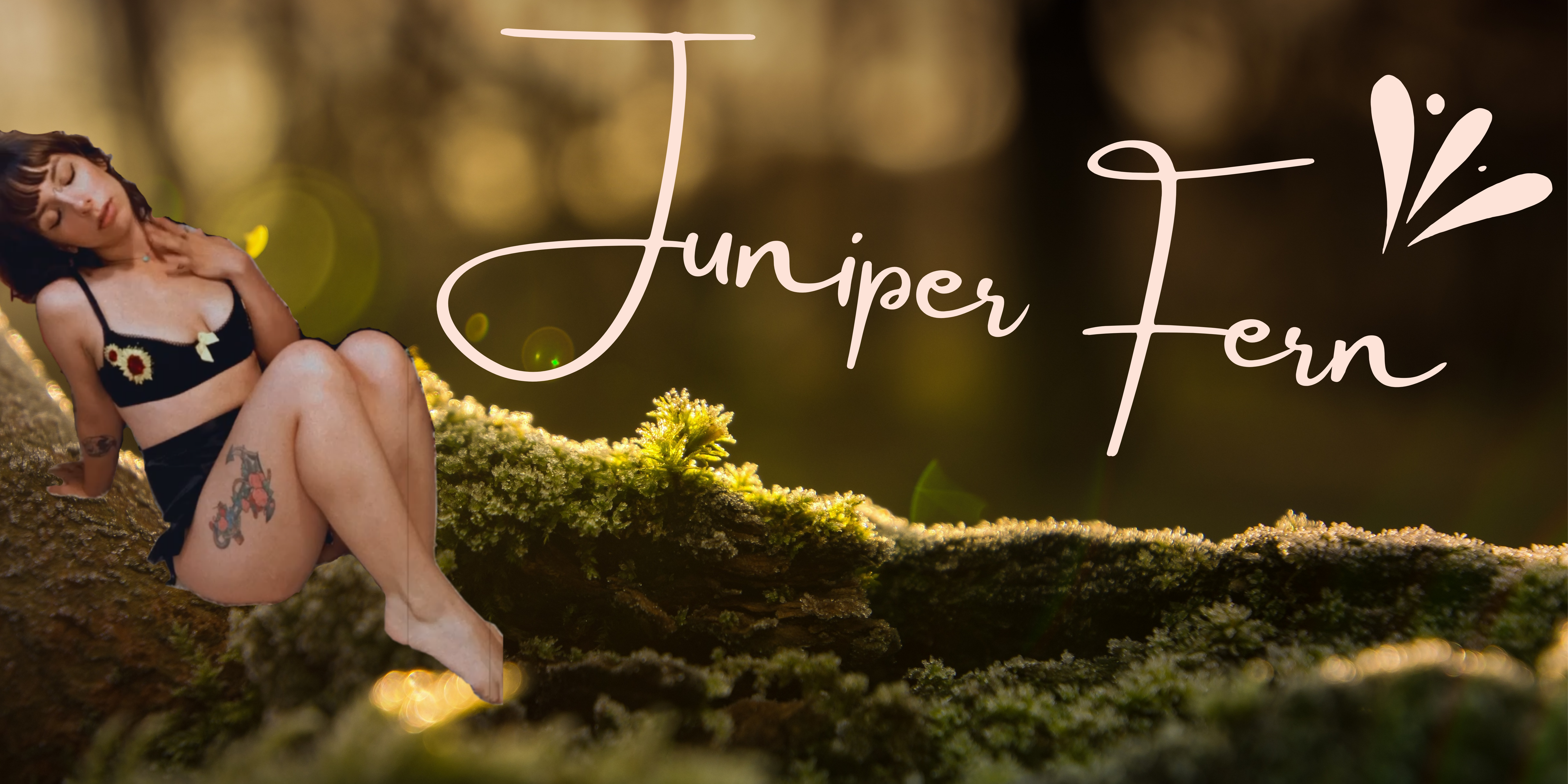 juniperfern thumbnail