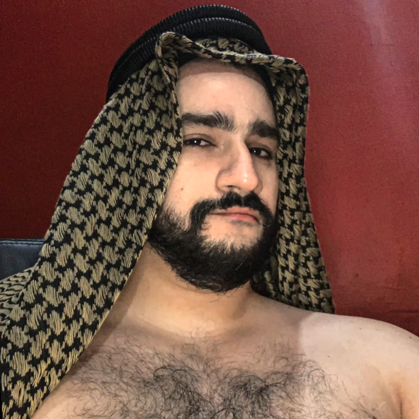 Arabian Bara profile