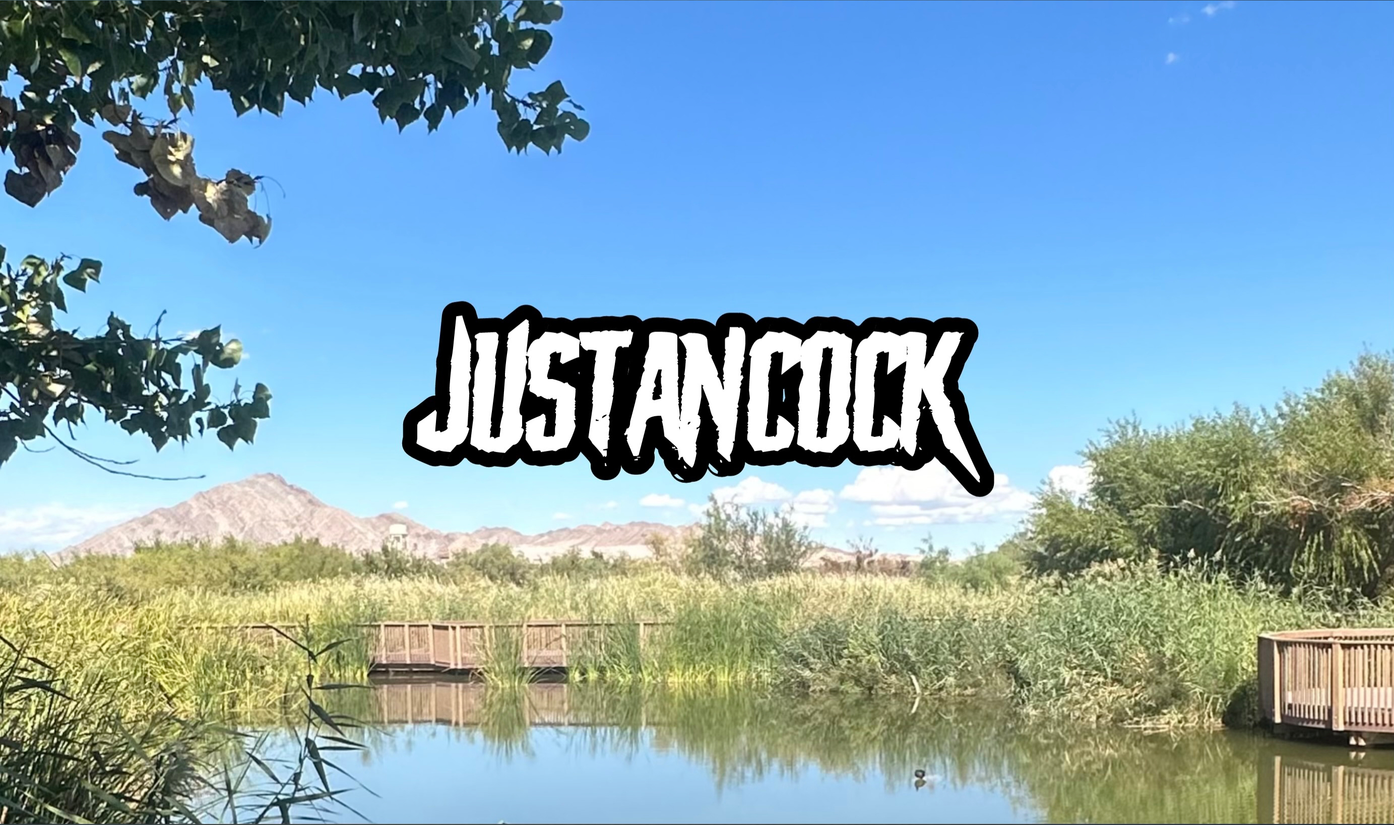 justancock thumbnail