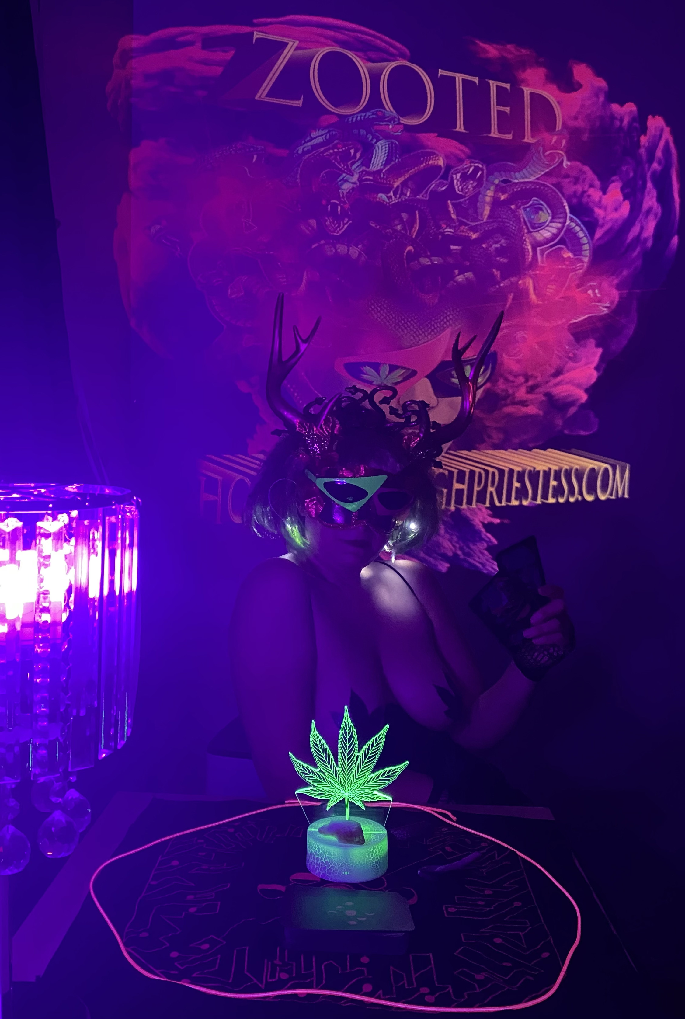 hollyweedhighpriestess profile