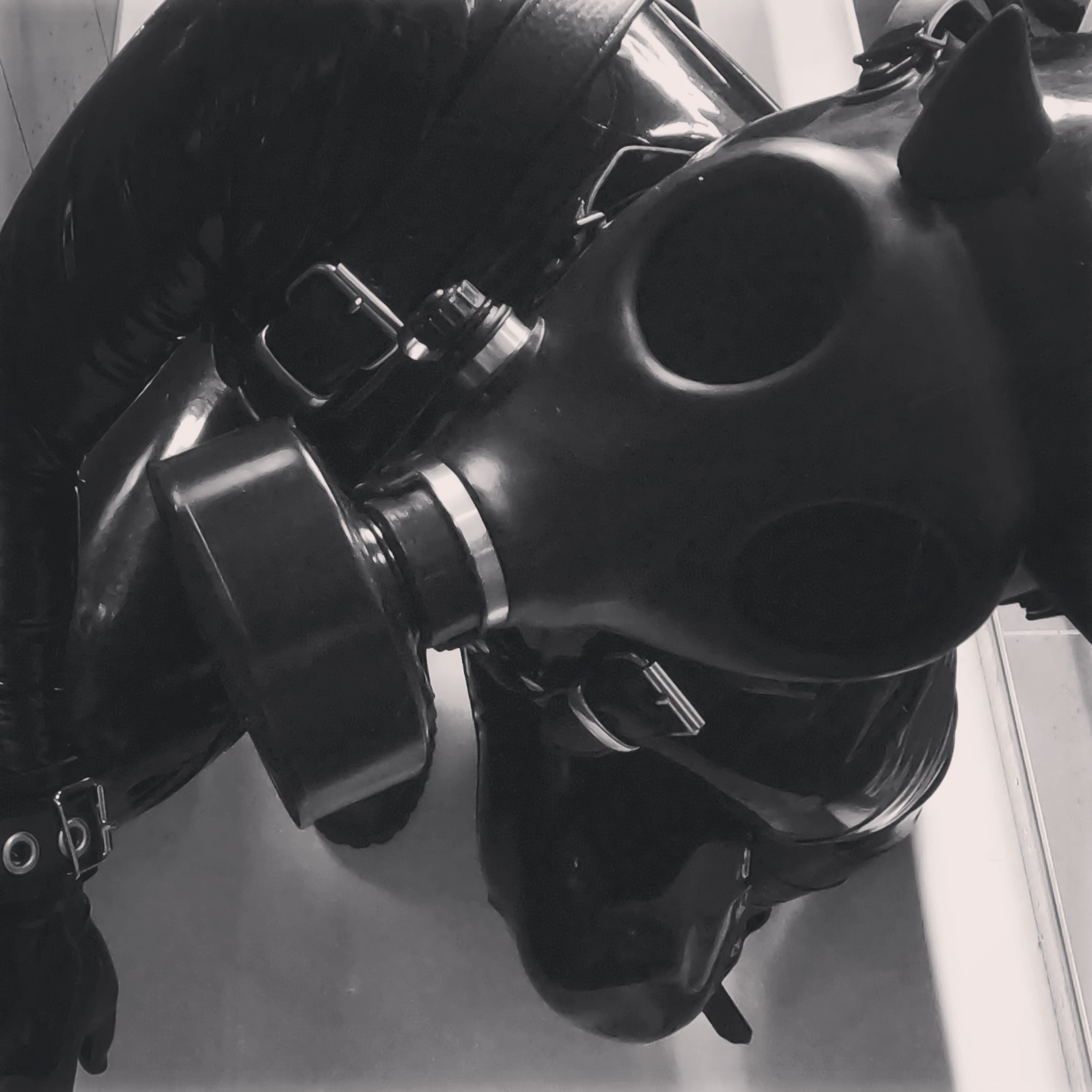 Rubber Lover SAM 🖤 profile