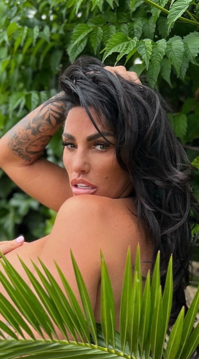 Katie Price profile