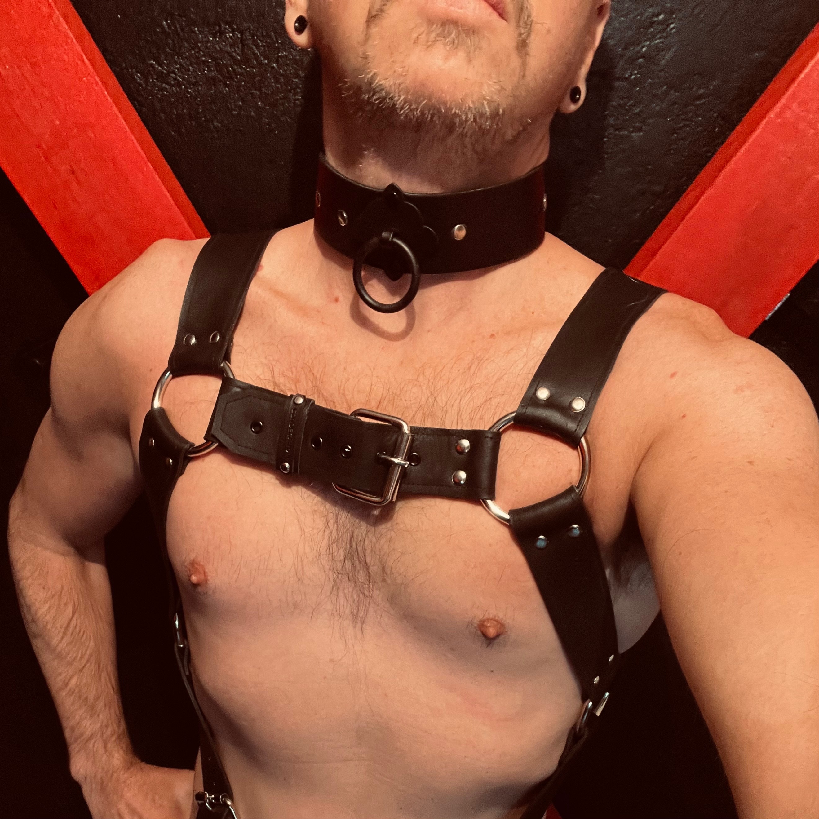 Leather Boy Sub profile