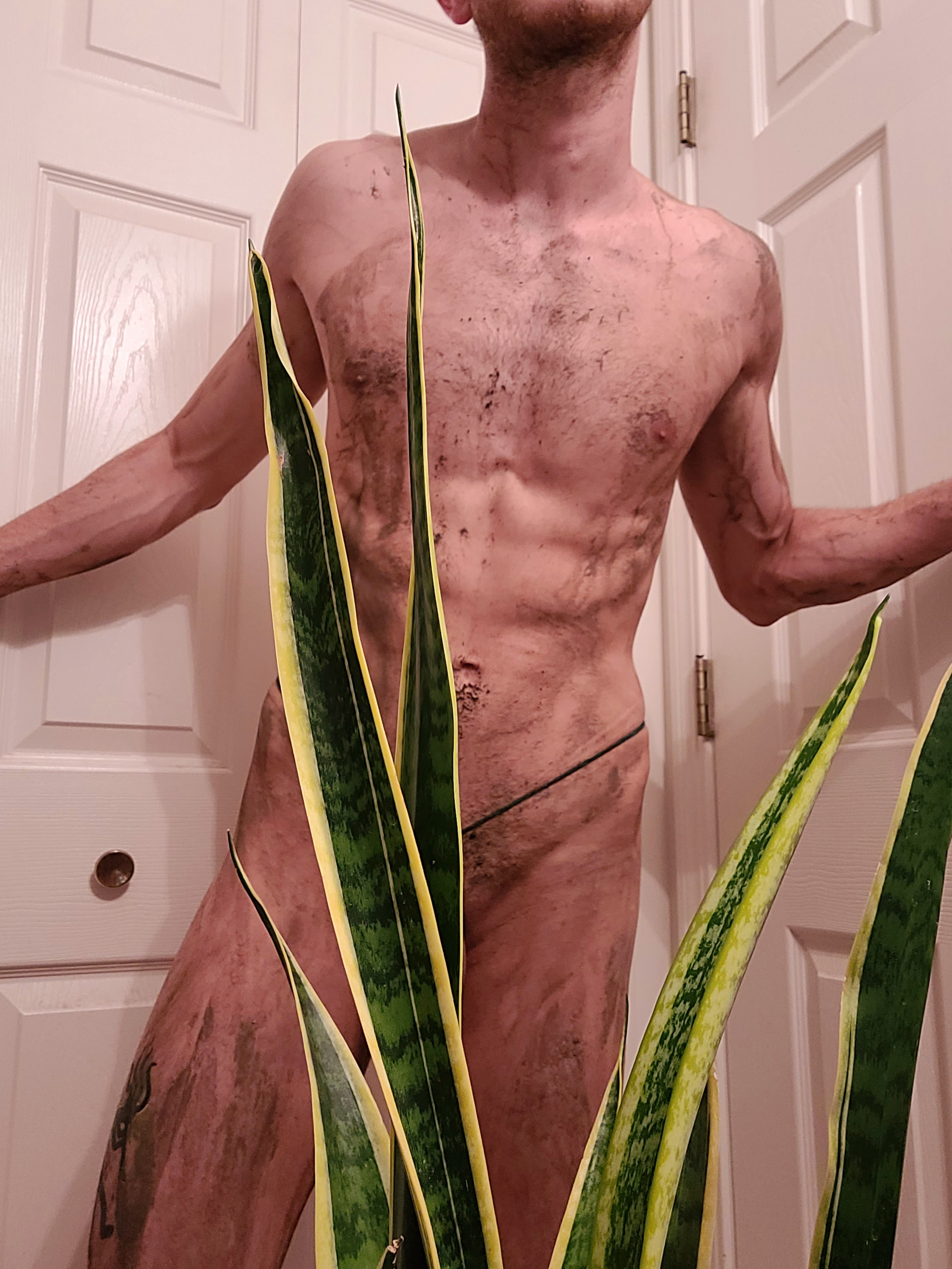 naked.forest.free profile