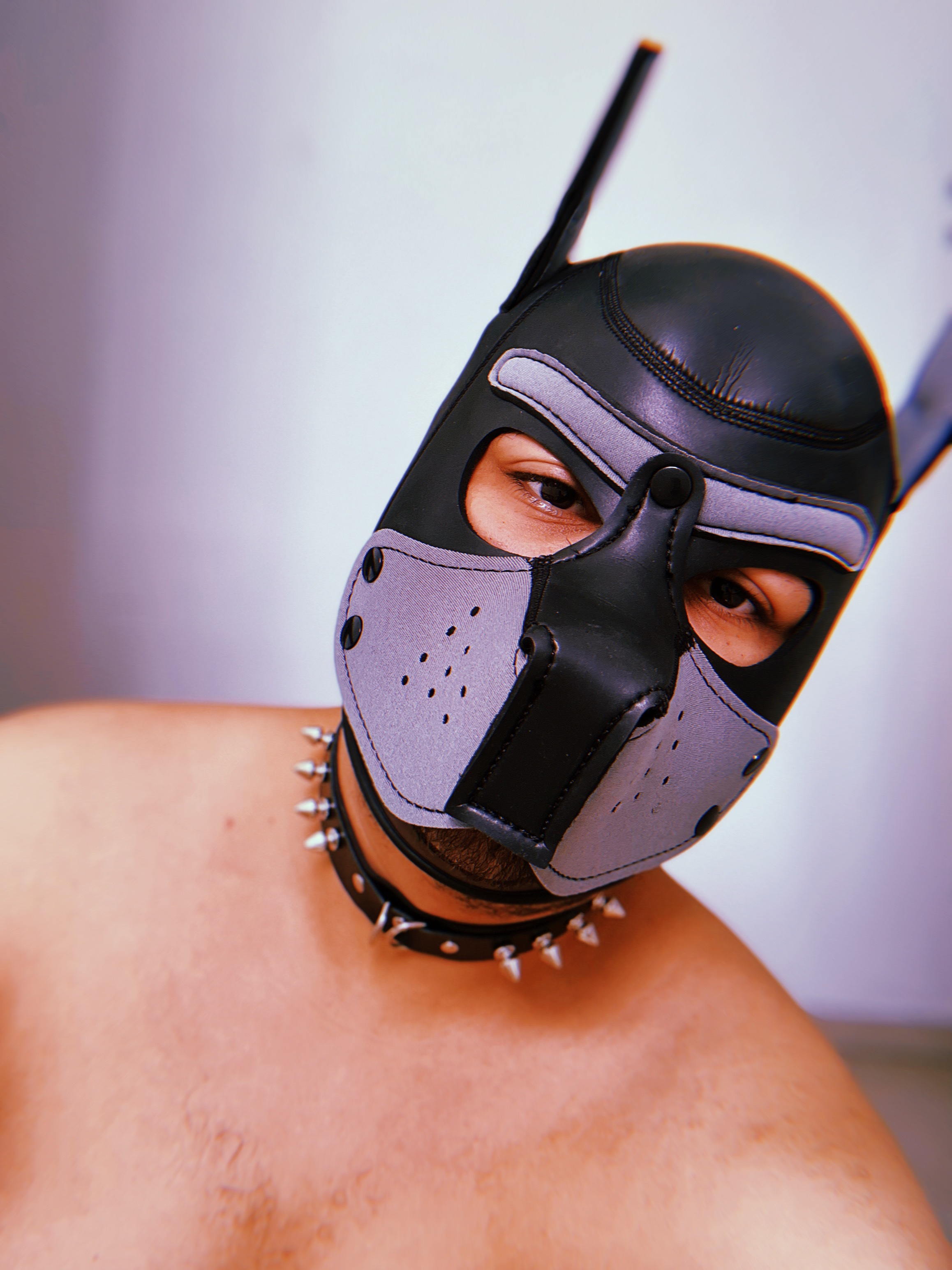 dogspxxx profile