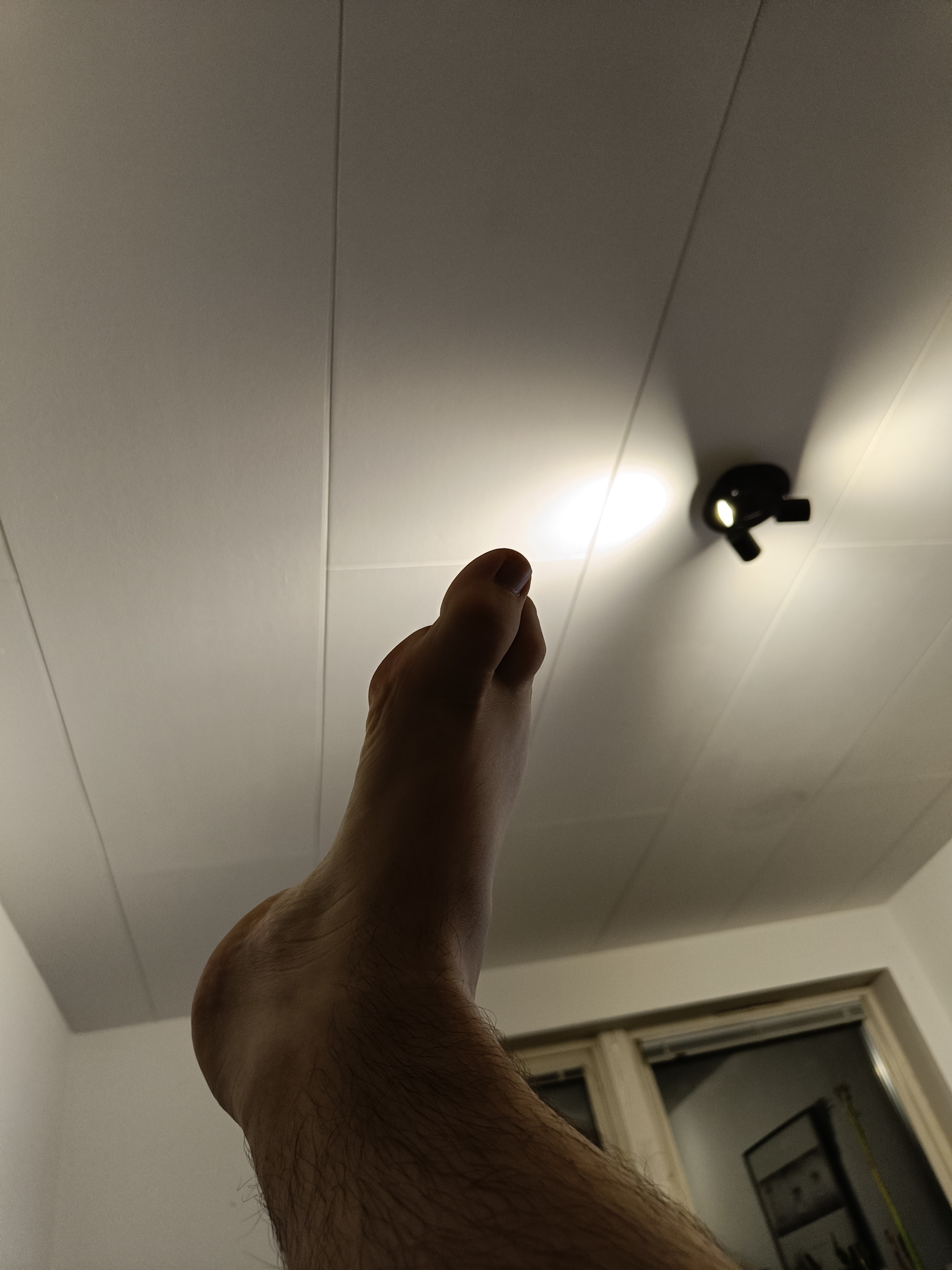 FEET profile